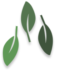 leavesIcon.png