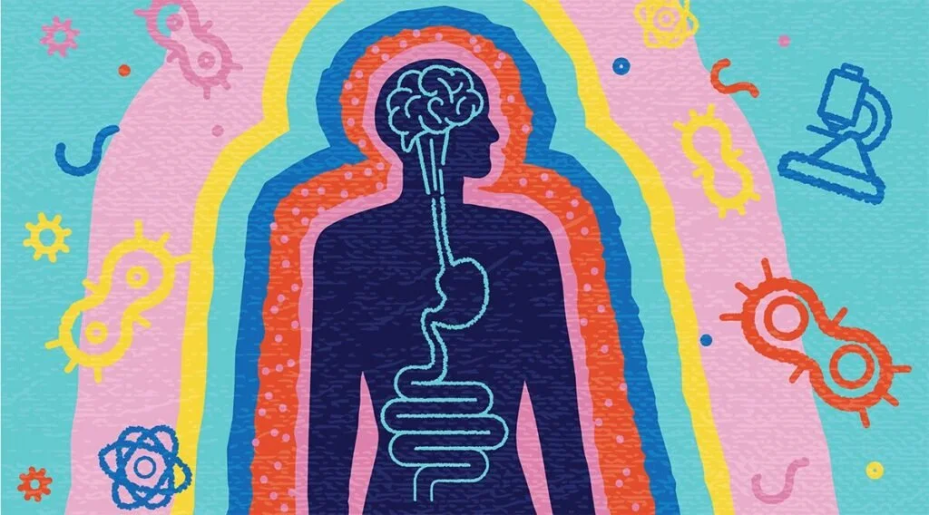 Gut Microbes Paper Highlighted by Rutgers Addiction Research Center