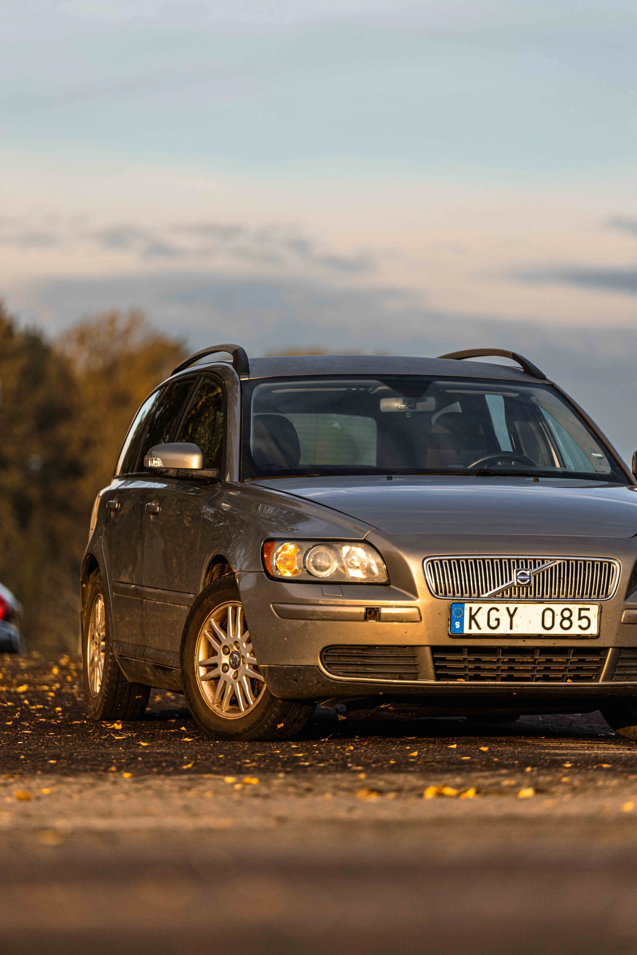 R6II6104.jpg