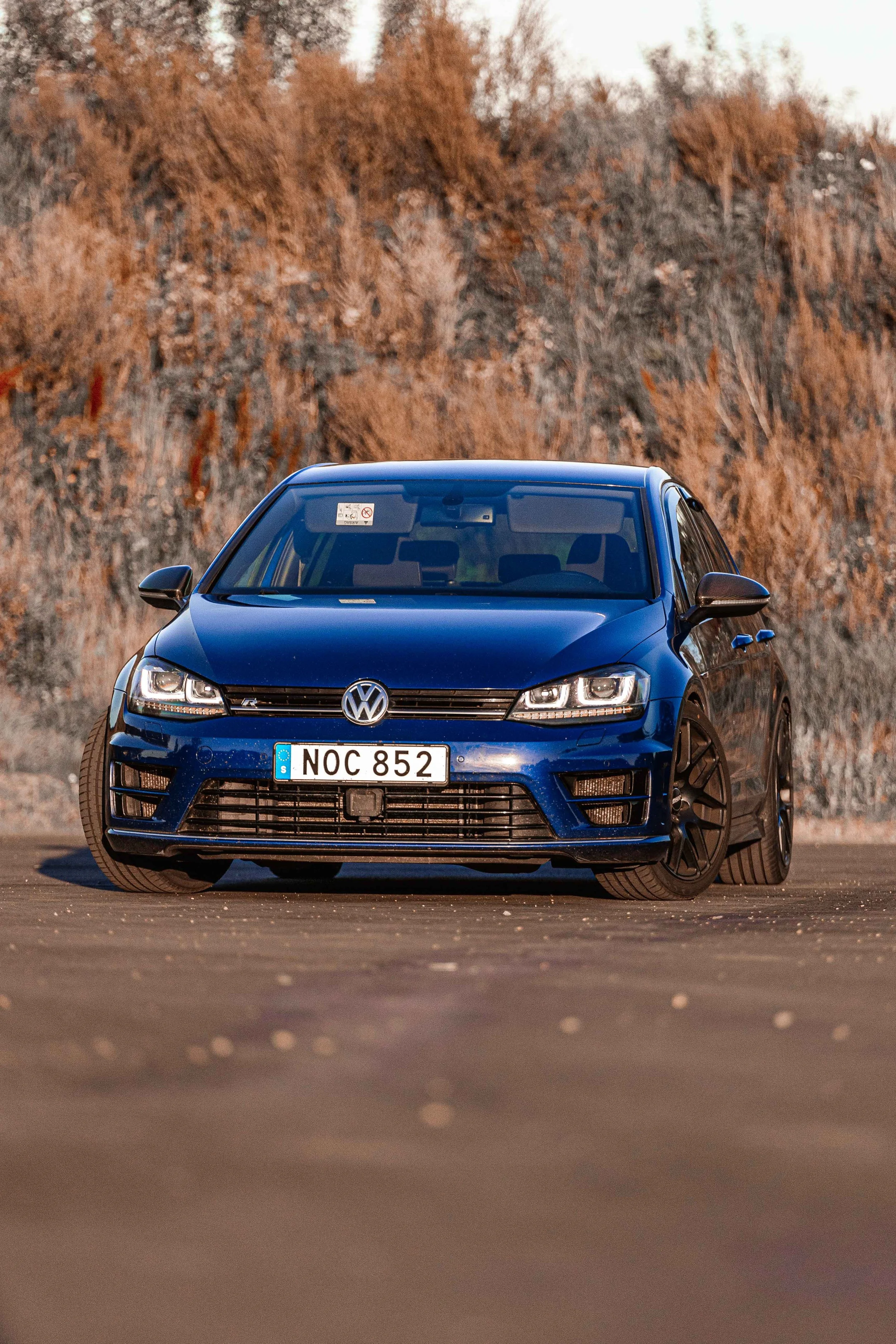 R6II3982.jpg