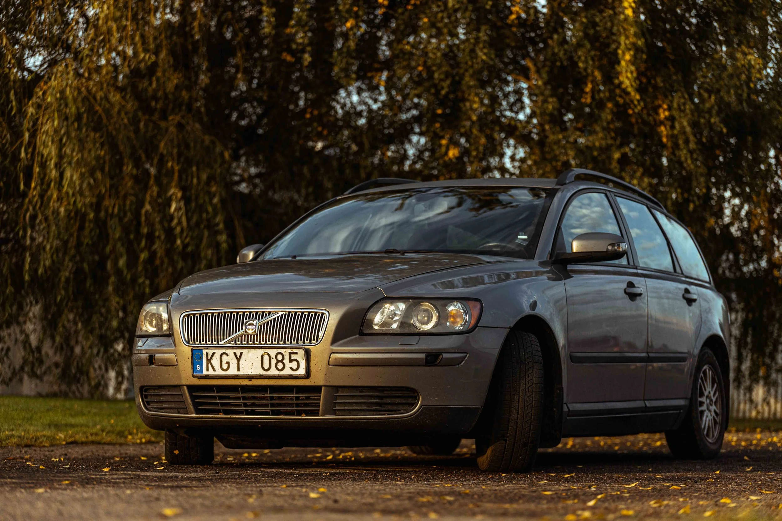 R6II6115.jpg