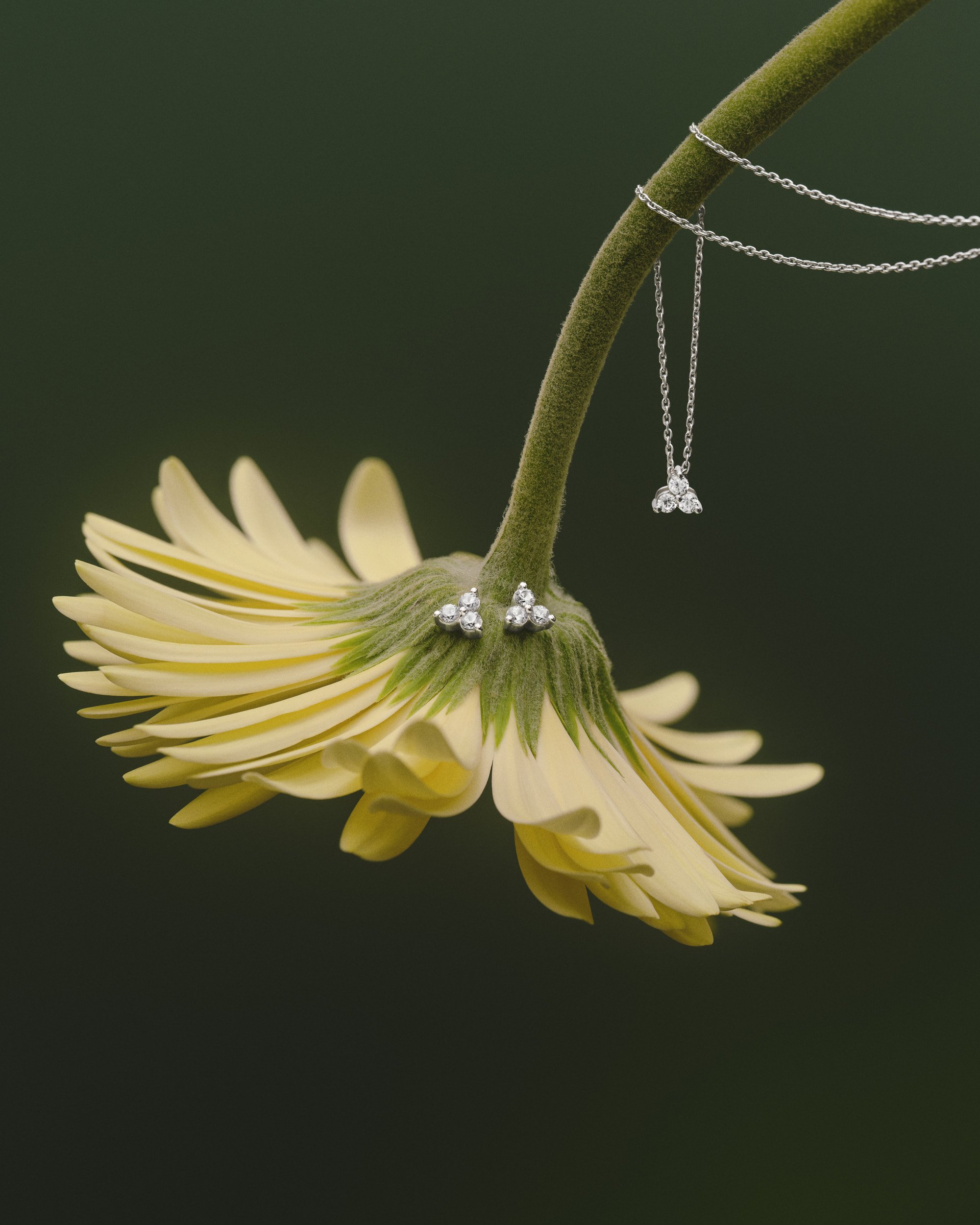 Max Catterall Austen Blake jewellery Still Life 00004.jpg