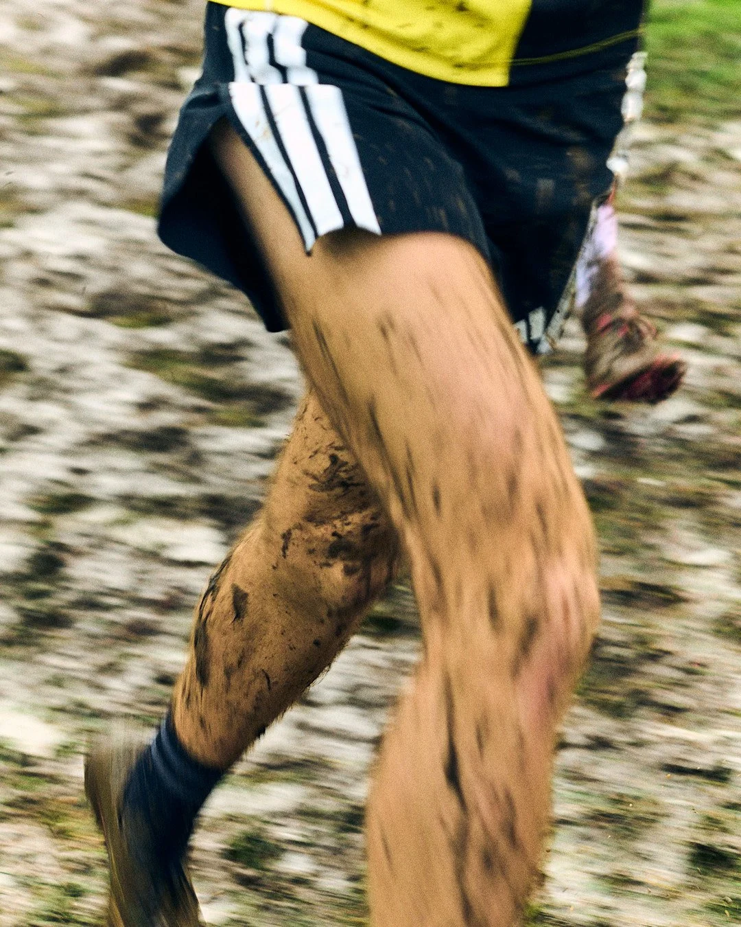 Adidas XC Cross Country.jpg