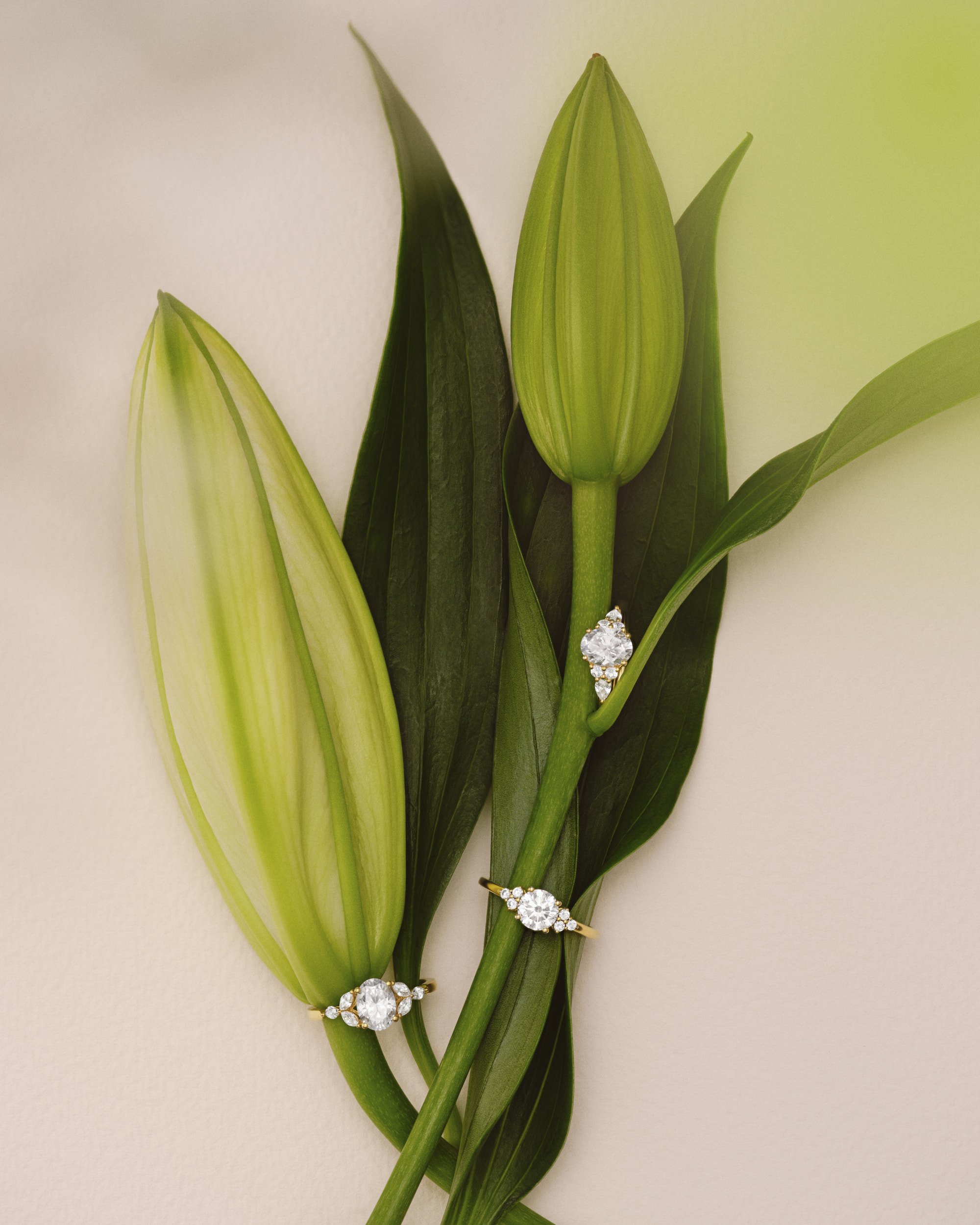 Max Catterall Austen Blake jewellery Still Life 00002.jpg