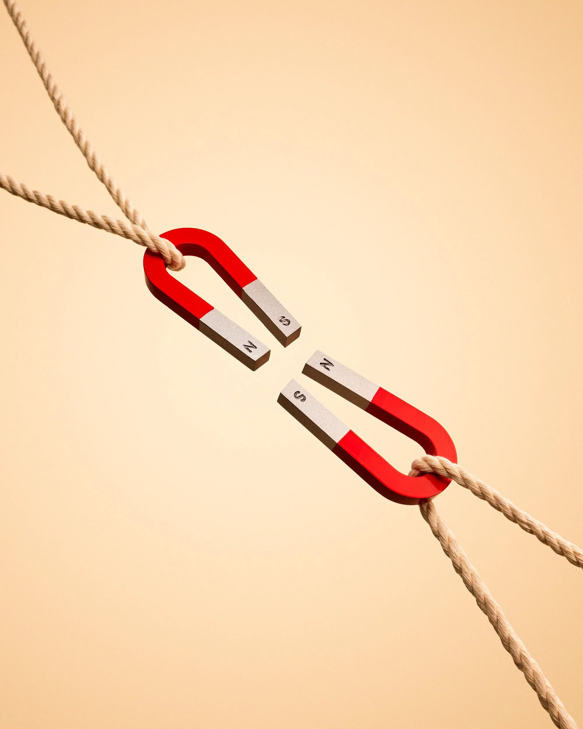 240226_06_Magnets_0354 V2.jpg