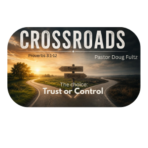 Crossroads: Trust or Control