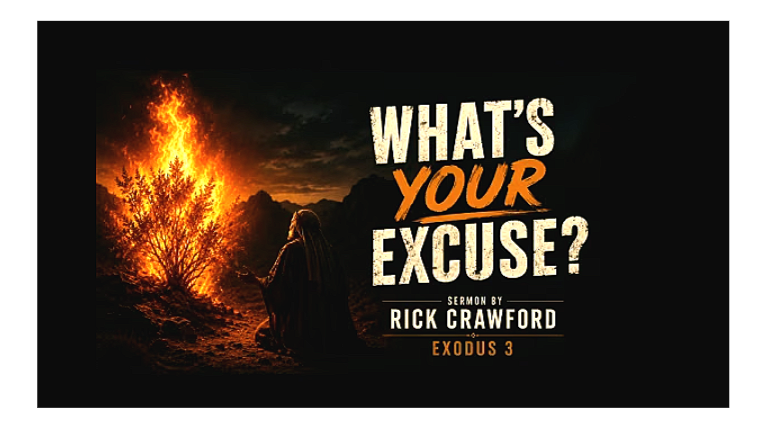 What’s Your Excuse?