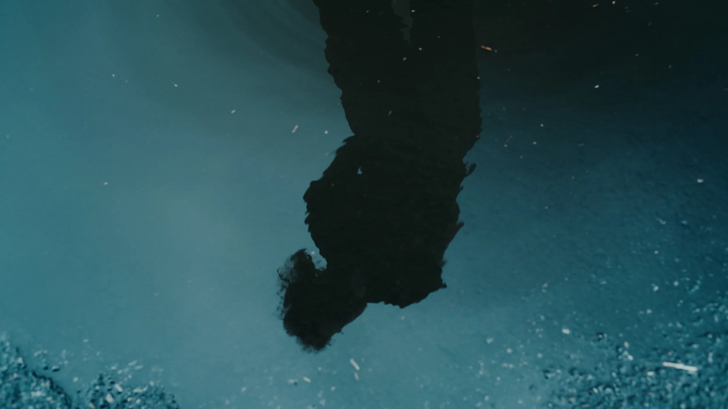 Sequence 01.00_00_32_21.Still006.jpg