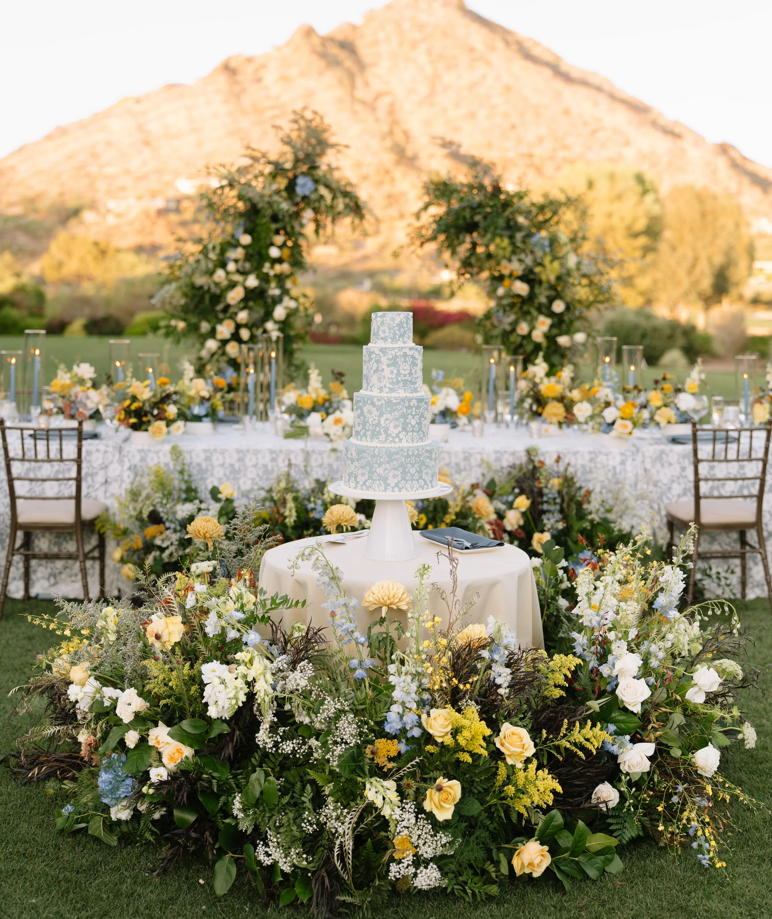 Cake Meadow 