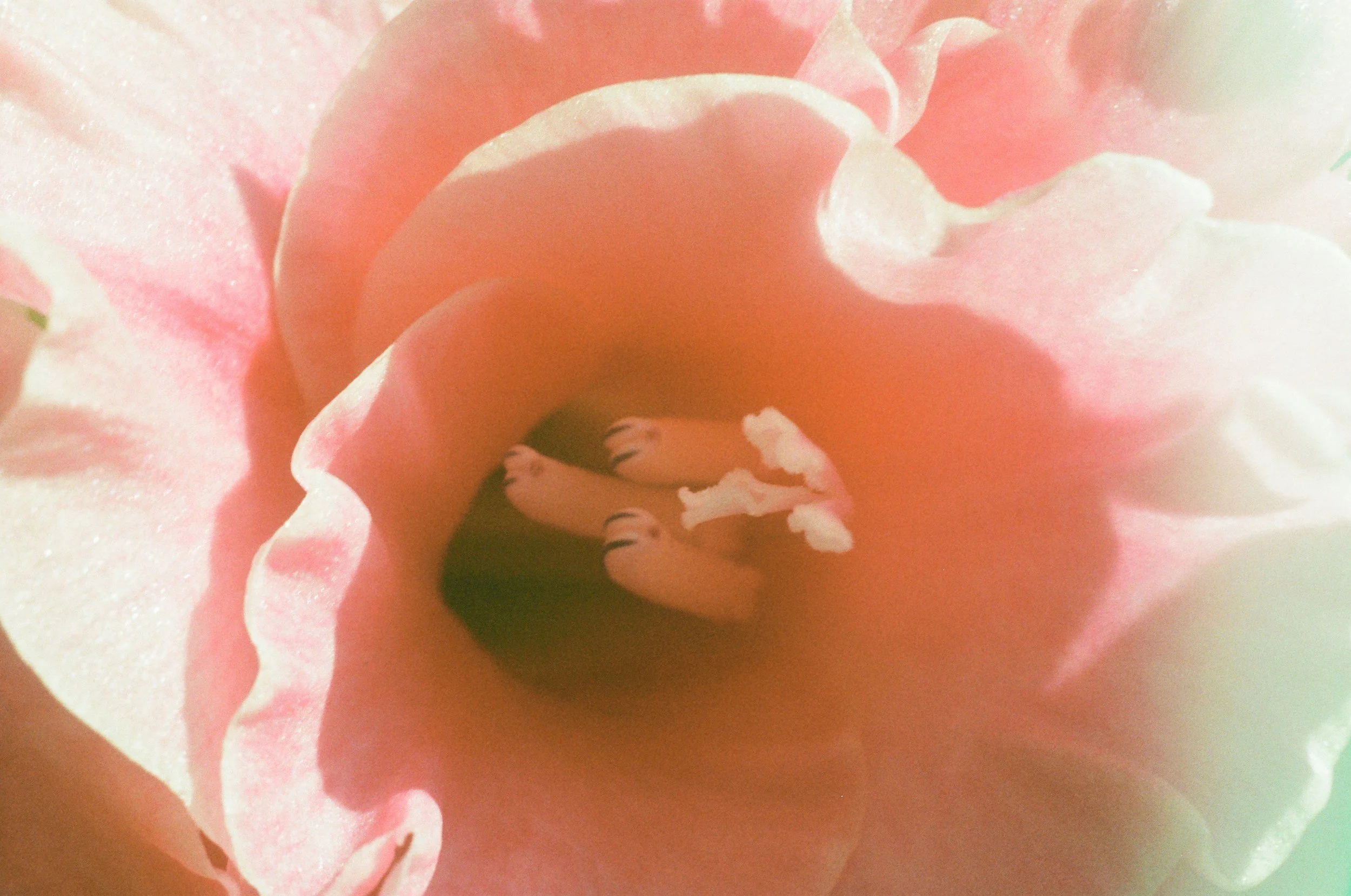 The Most Overlooked Fertility Signals: What Your Cycle, Labs, and Symptoms Are Trying to Tell You