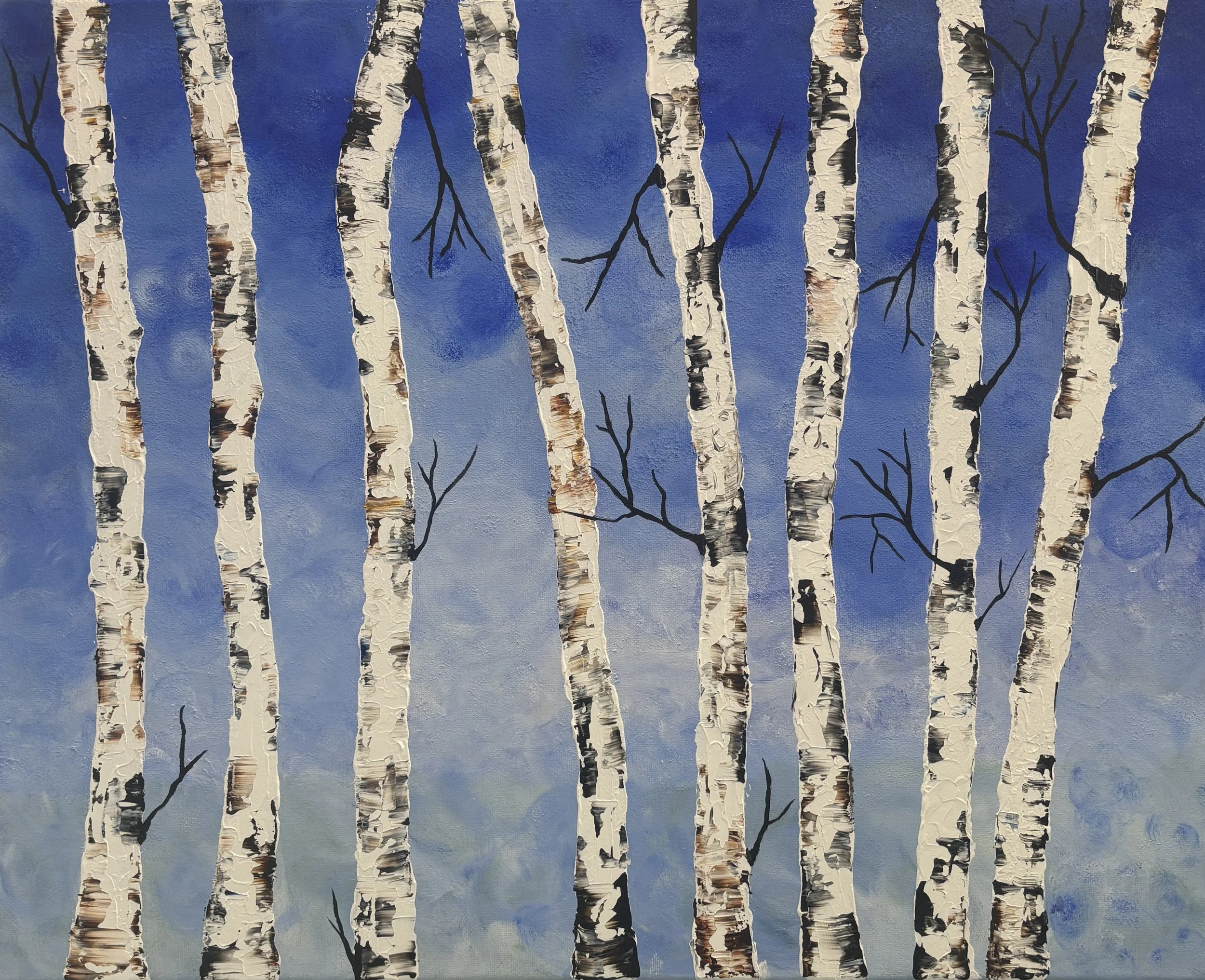 Donna DiMatteo