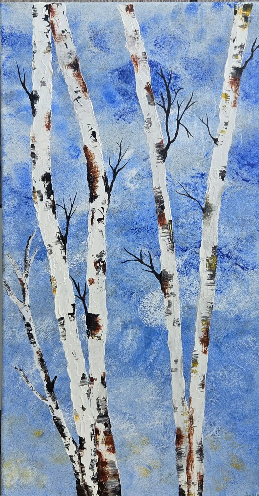Donna DiMatteo
