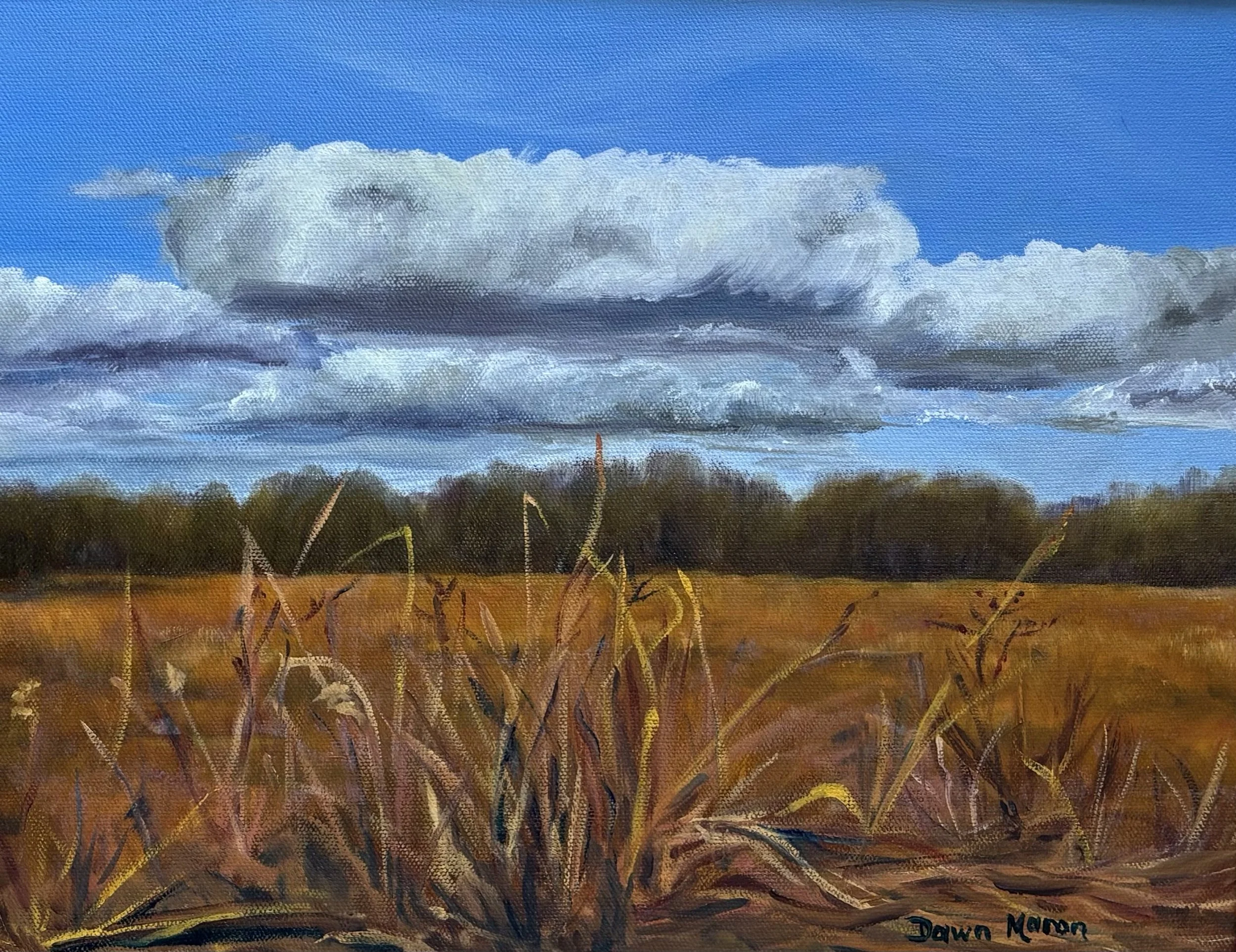 Dawn Maron