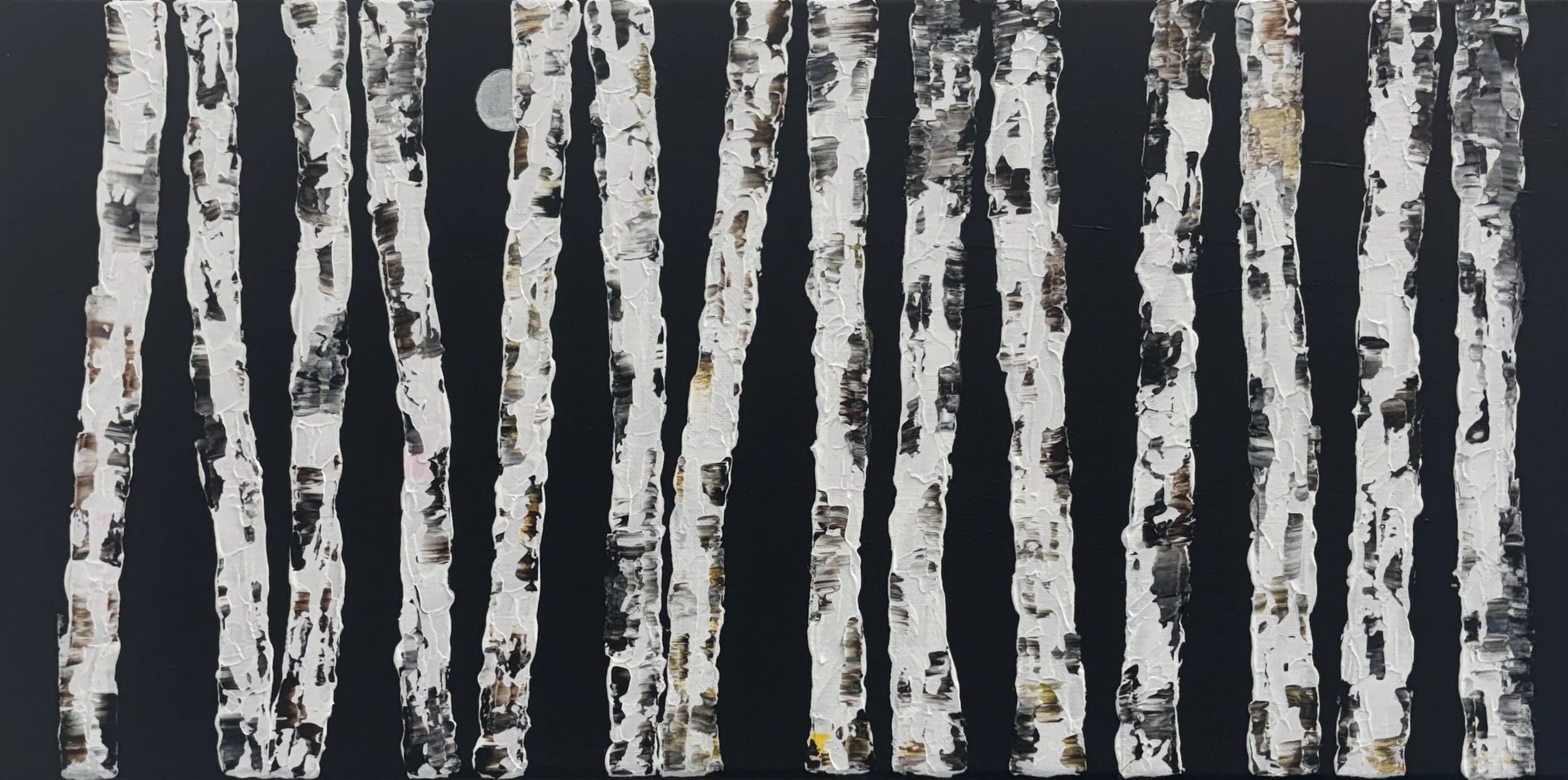 Donna DiMatteo