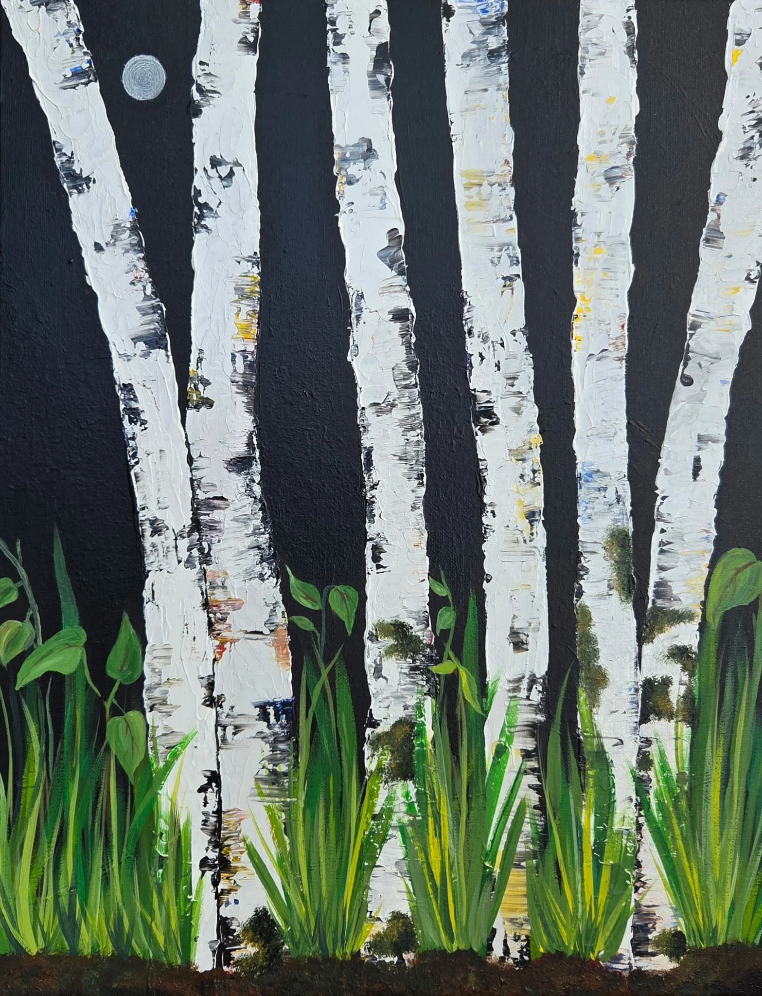 Donna DiMatteo