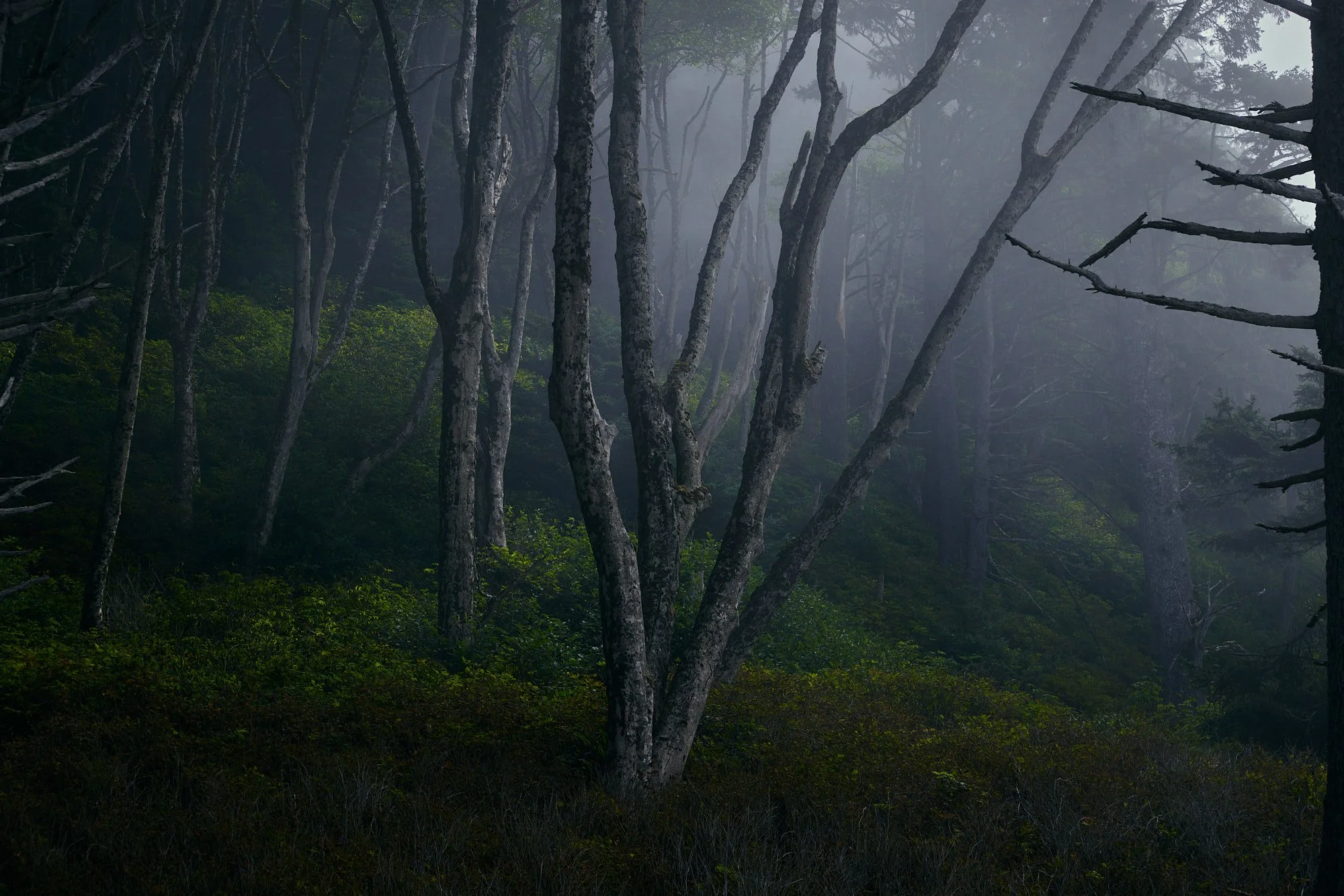 Web Res_CTP_9434.jpg