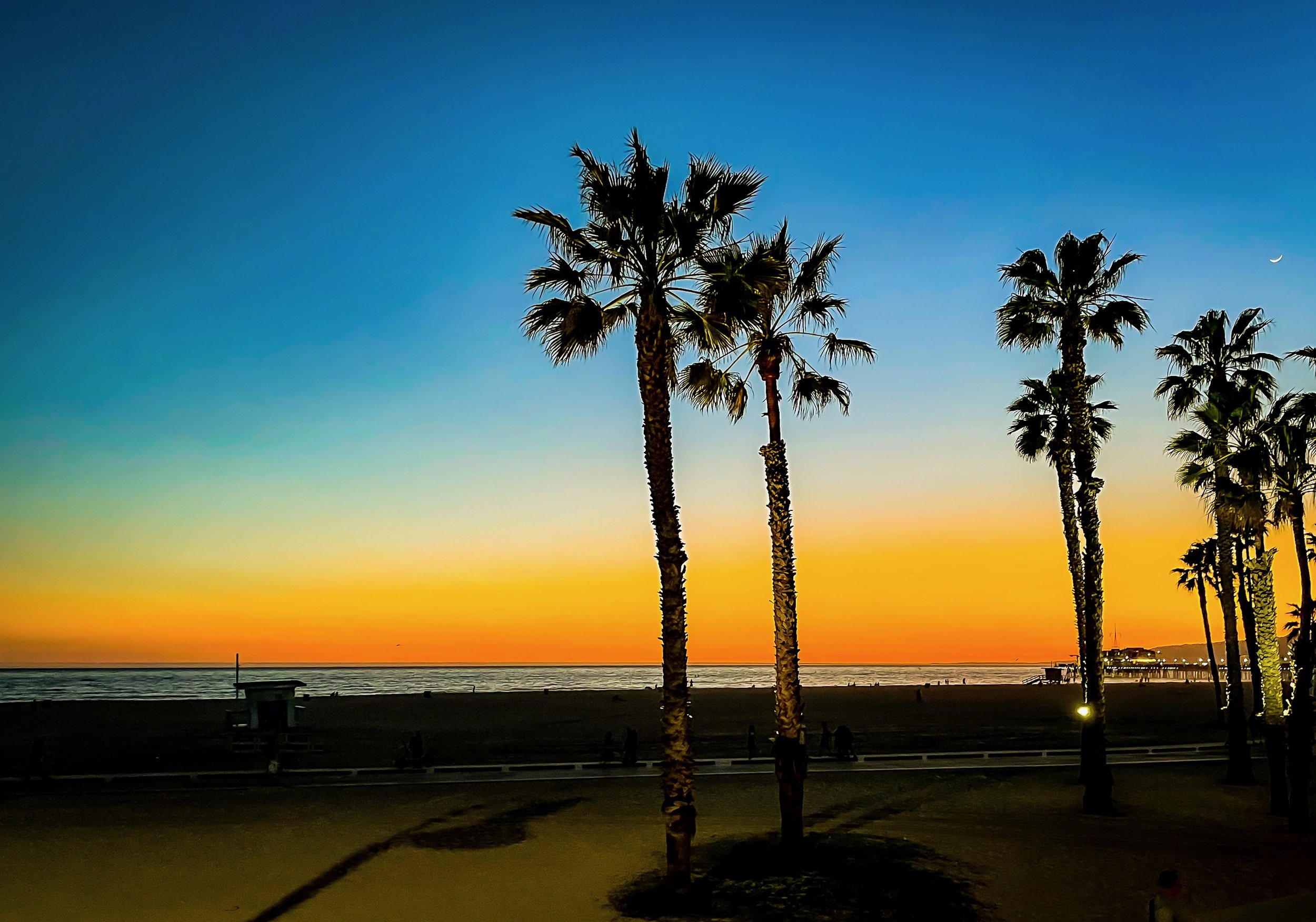 Palm Tree Silhouette Sunset.jpeg