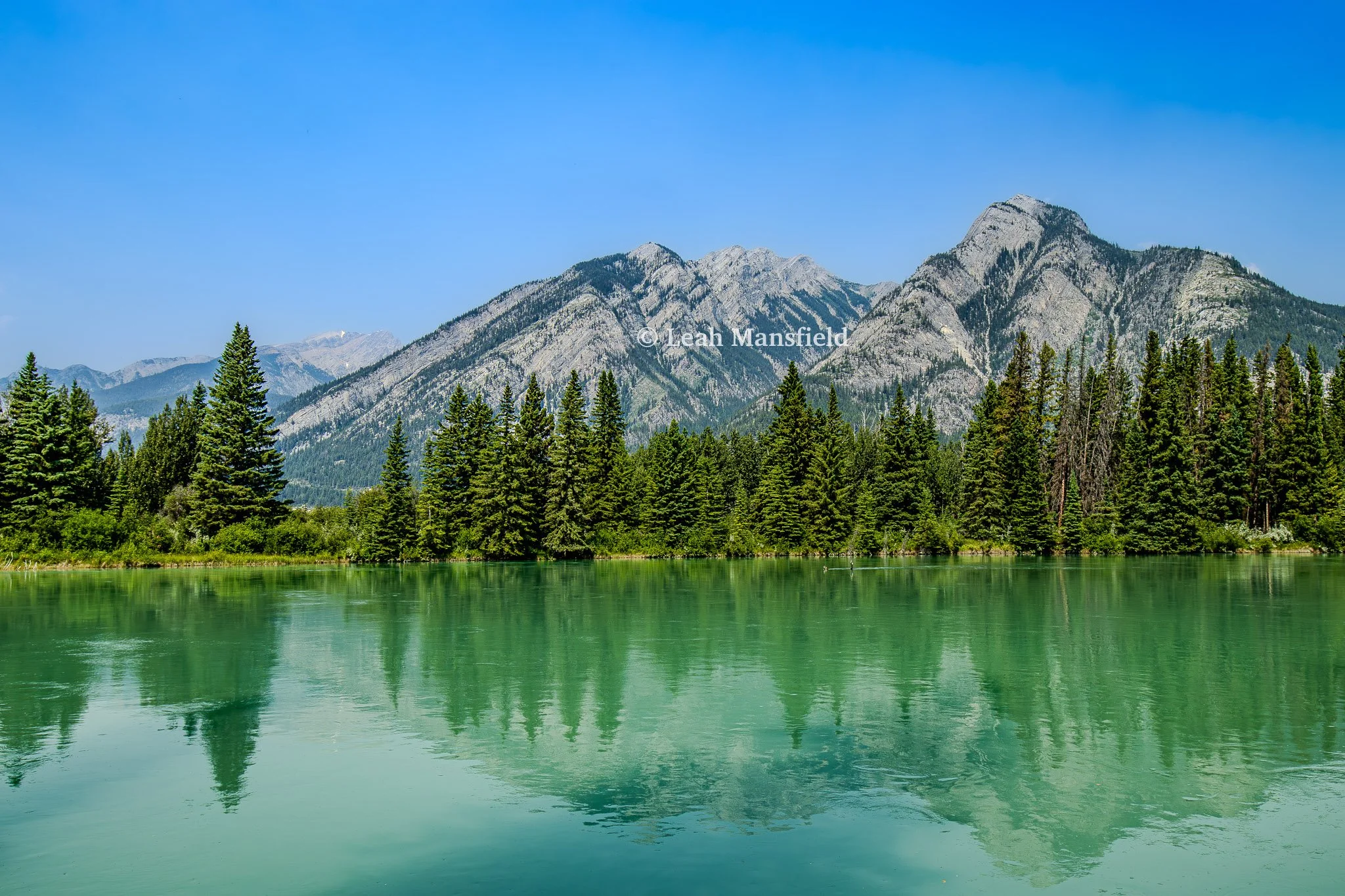 The Canadian Rockies near Banff - WM-1.jpg