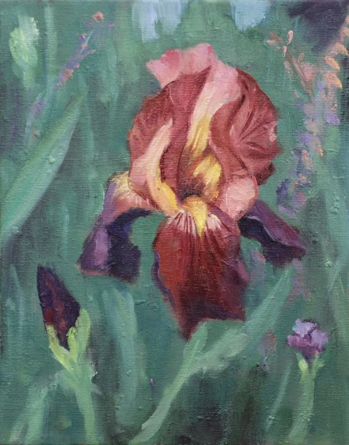Crimson Iris 10" x 8"