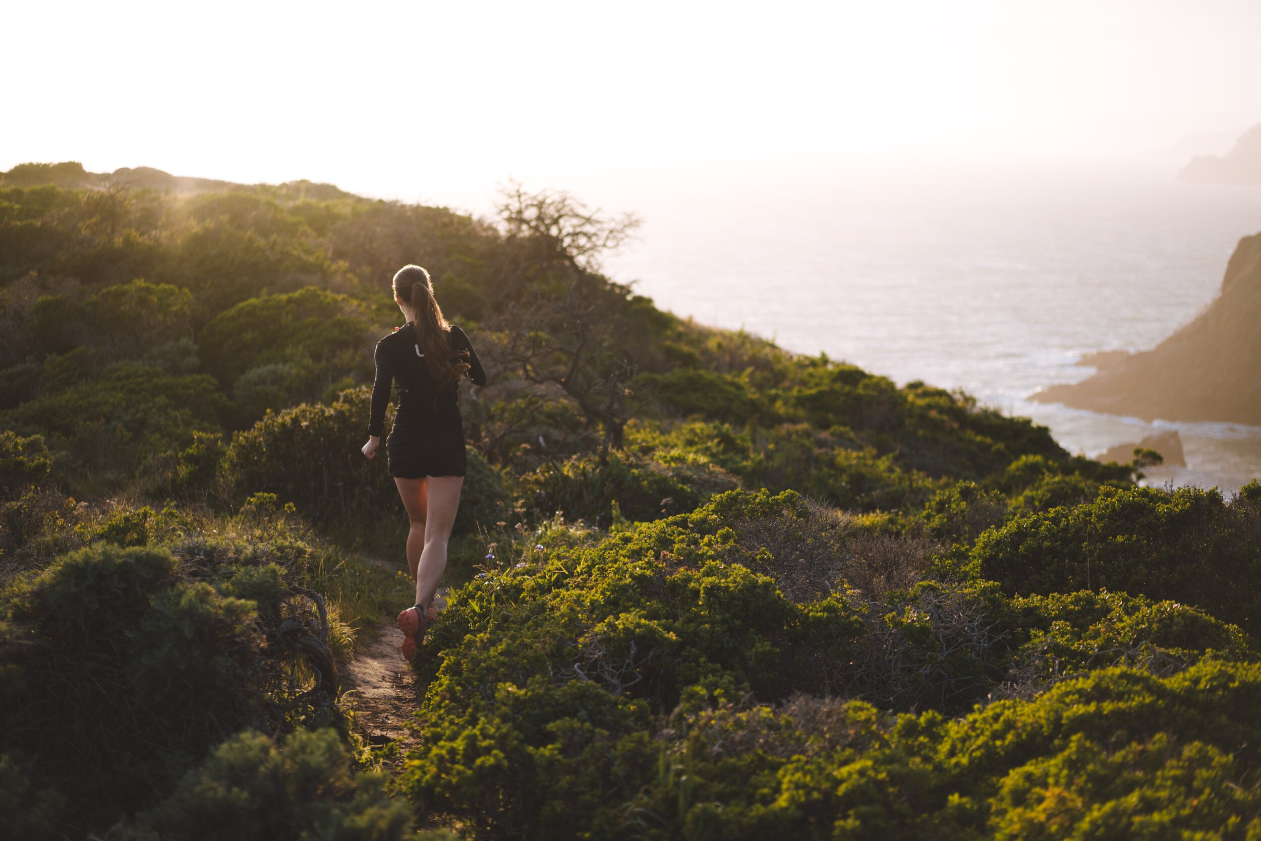 Beginners Guide to Trail Running — Andrea Ference