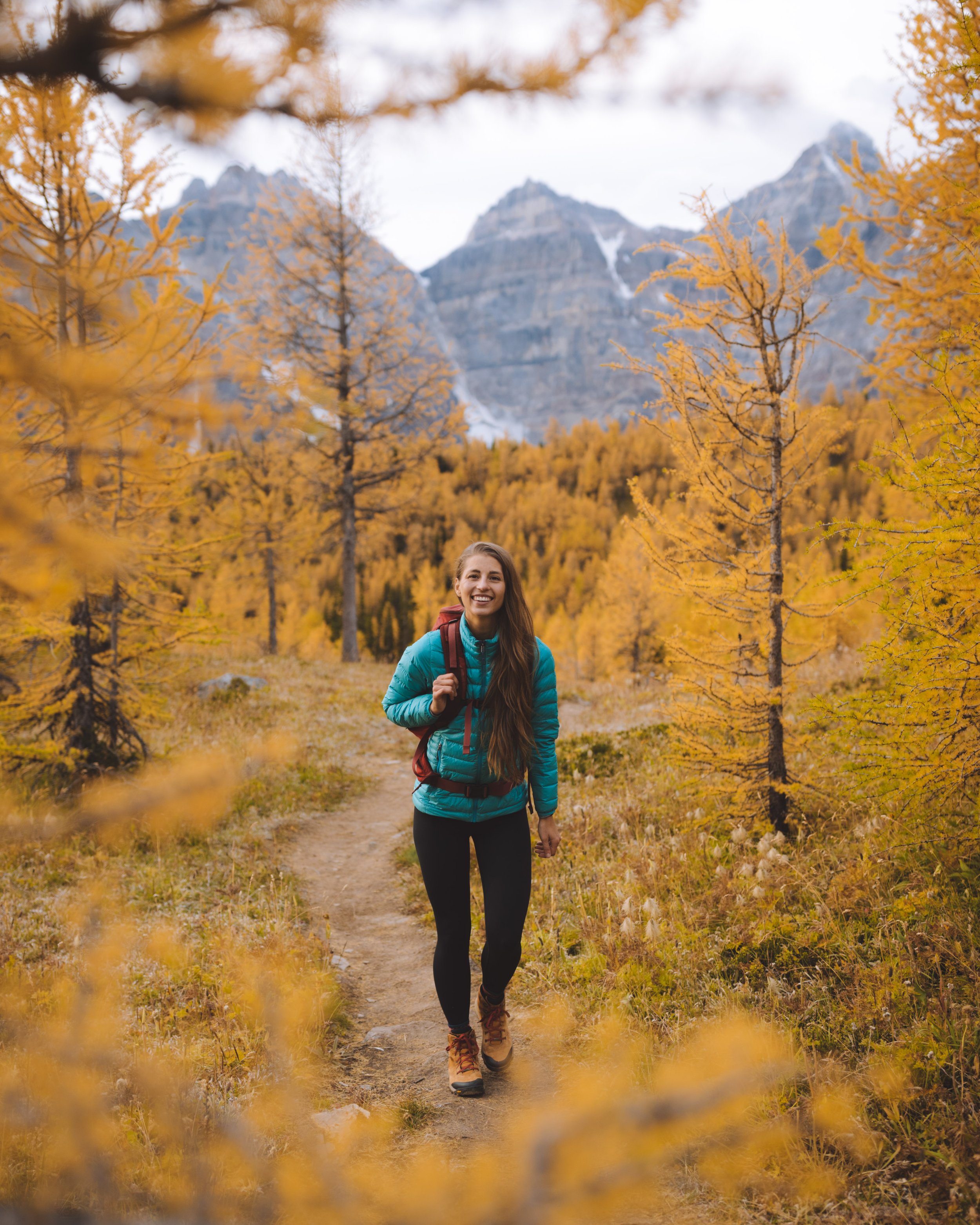 The Best Hikes to Find Larch Trees in the Canadian Rockies — Andrea Ference