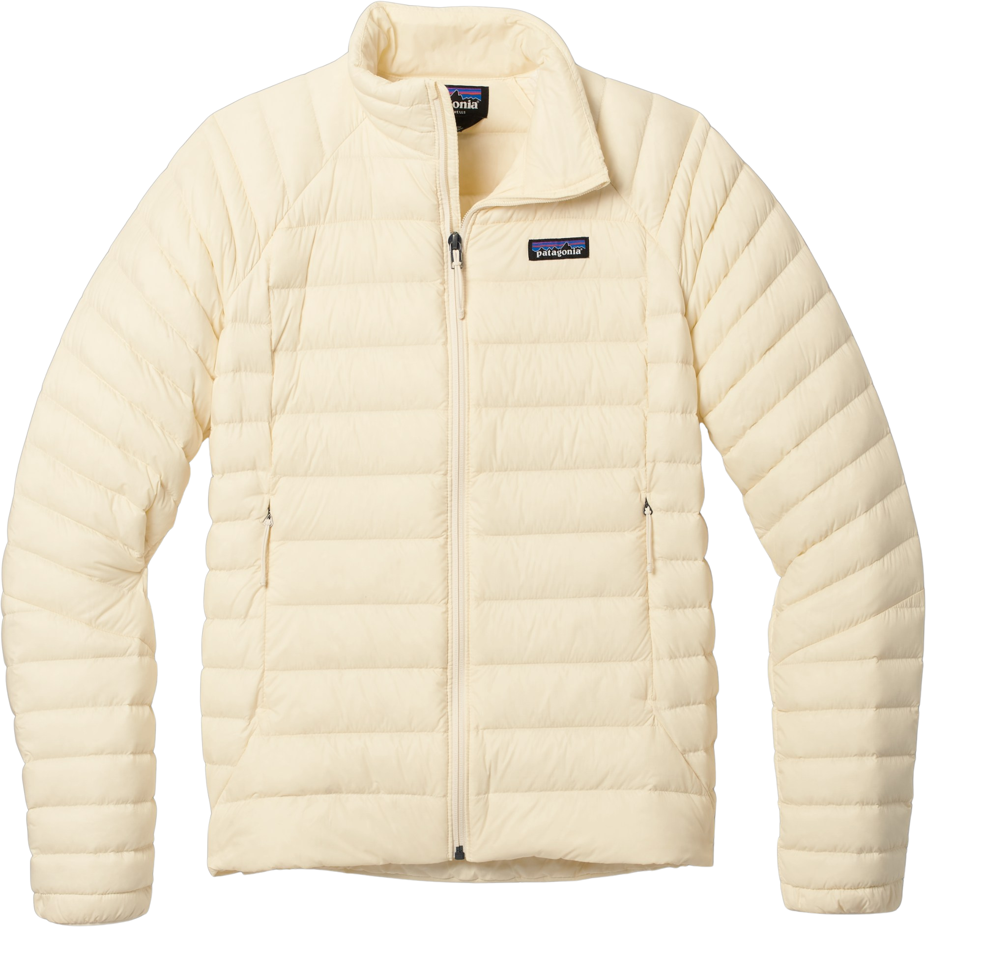 patagonia down sweater.png