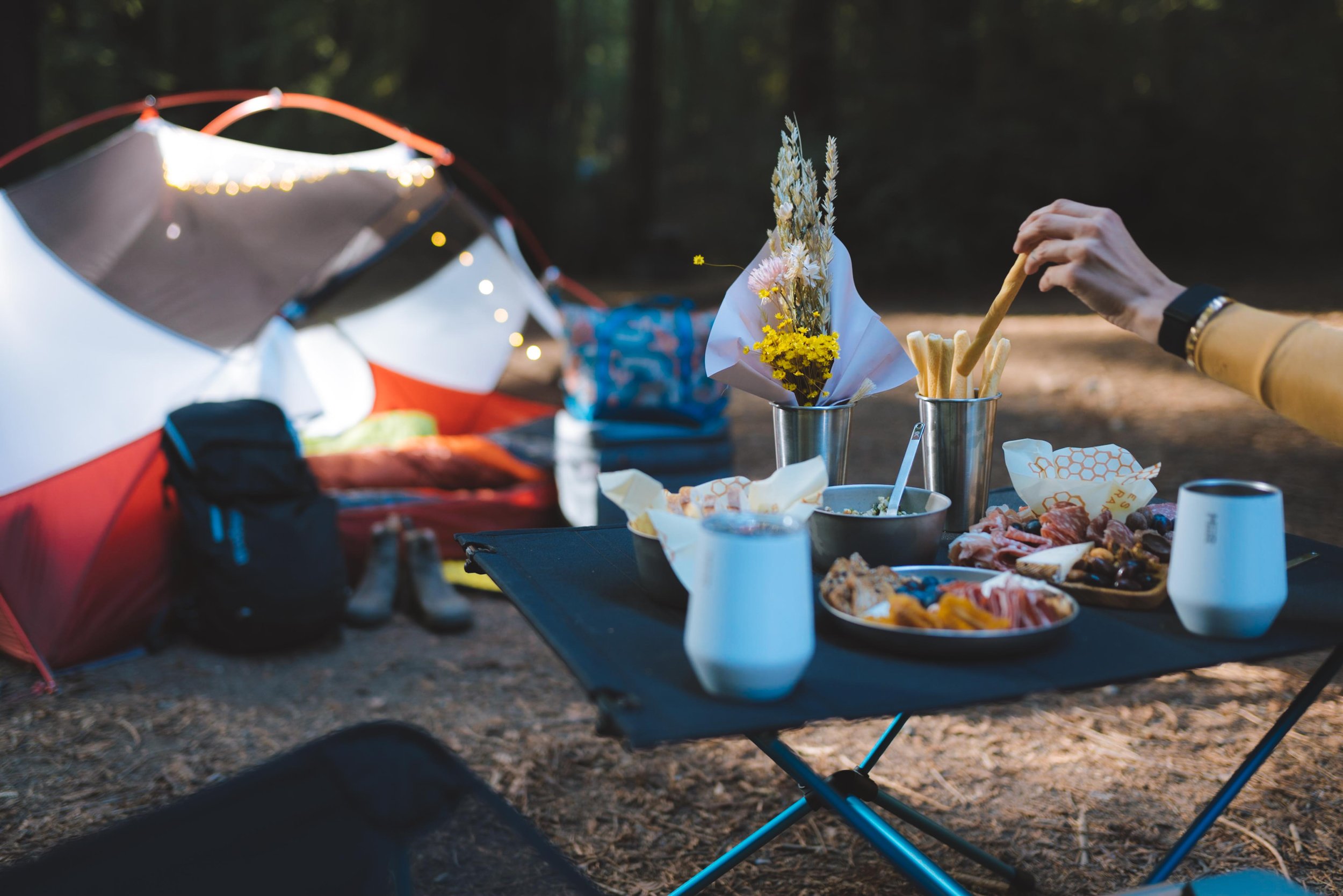 Car Camping : Planning, Preparing & Packing 101 — Andrea Ference