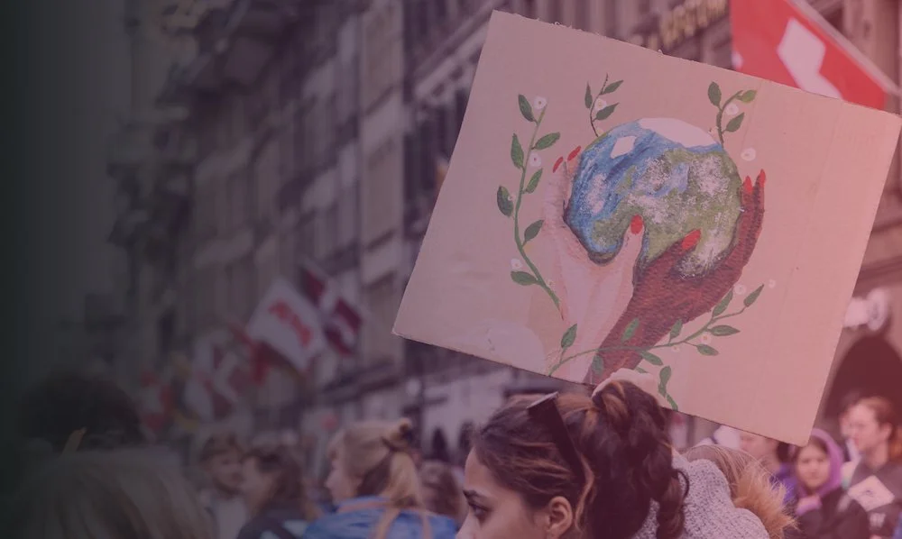 TTI's improved website highlights the four pillars of its work