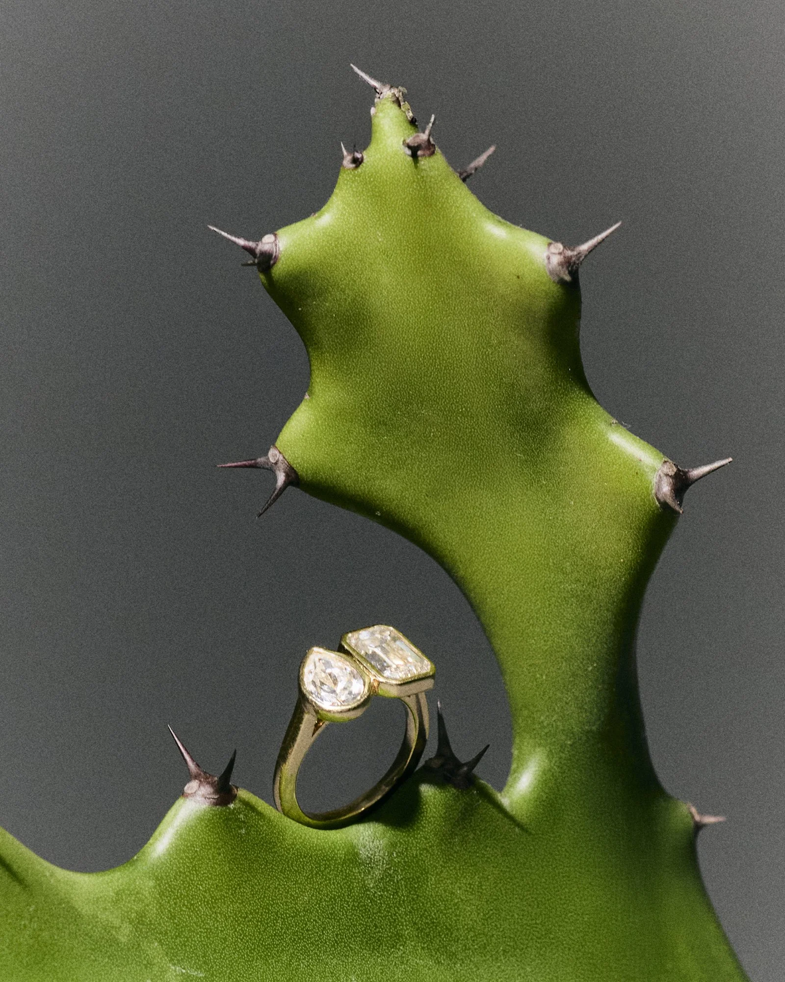 ALVA12468 copia 2.jpg