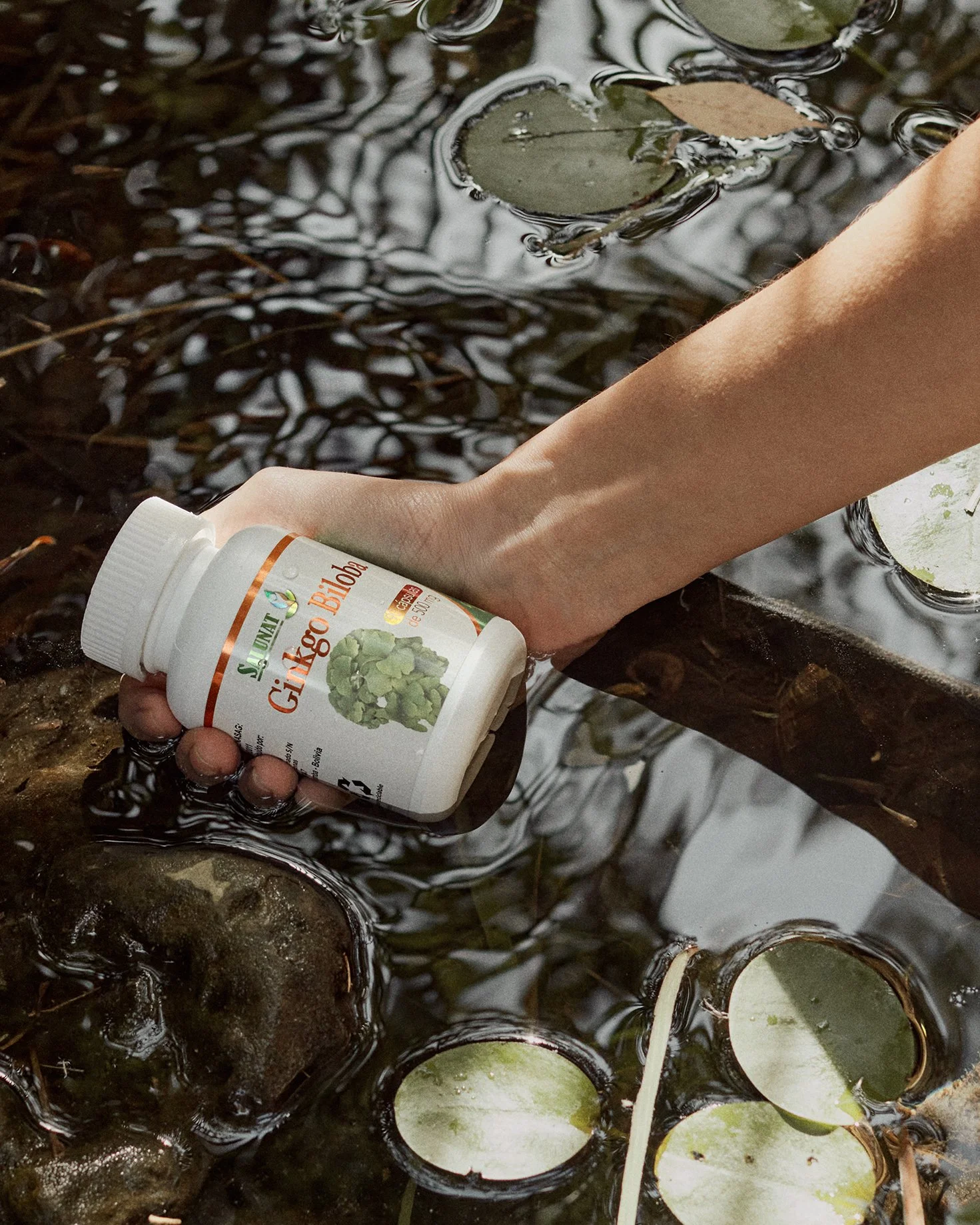 NATURALFARMATULIPAN13925 copie copia.jpg