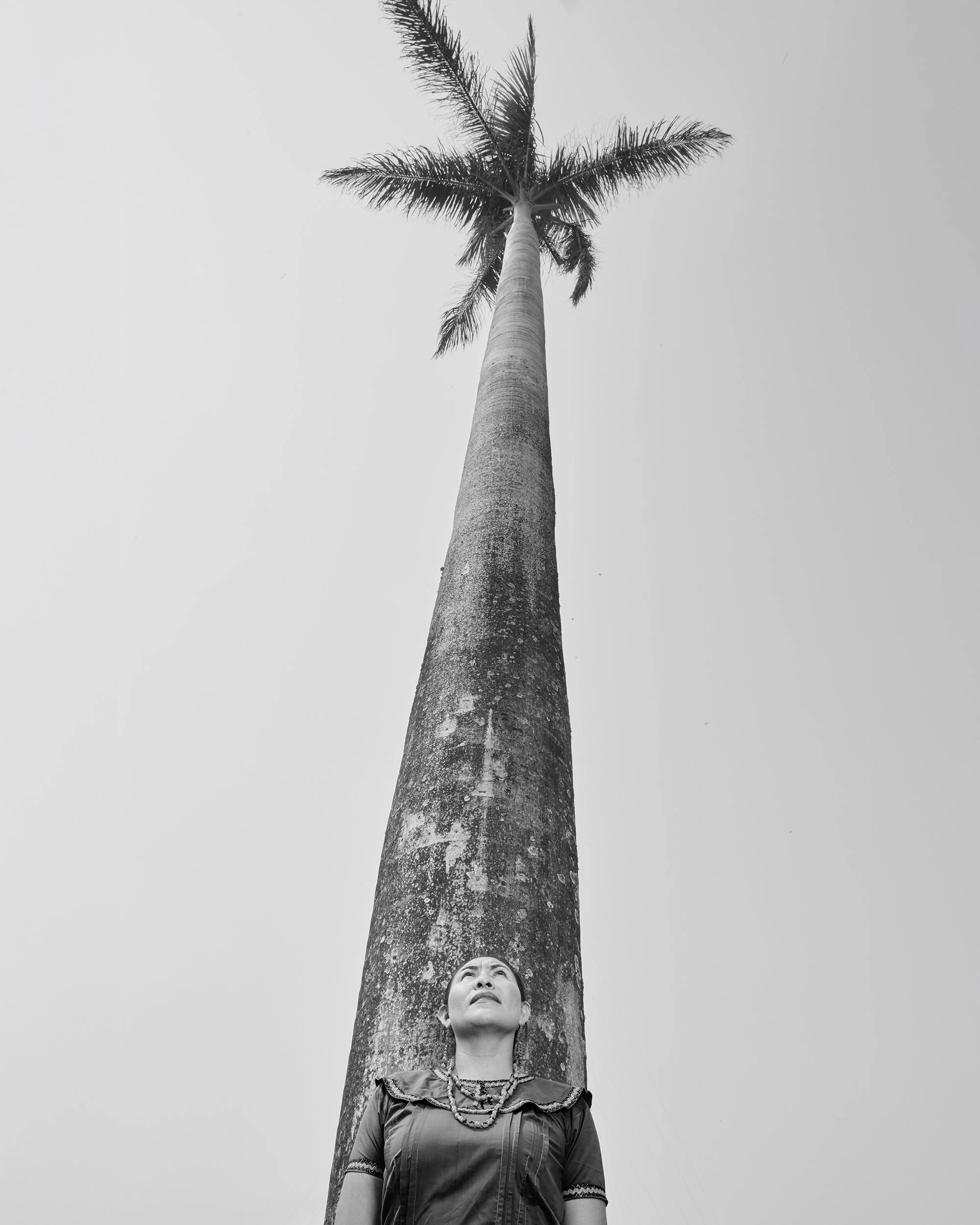 273A7618 copie copia 2.jpg