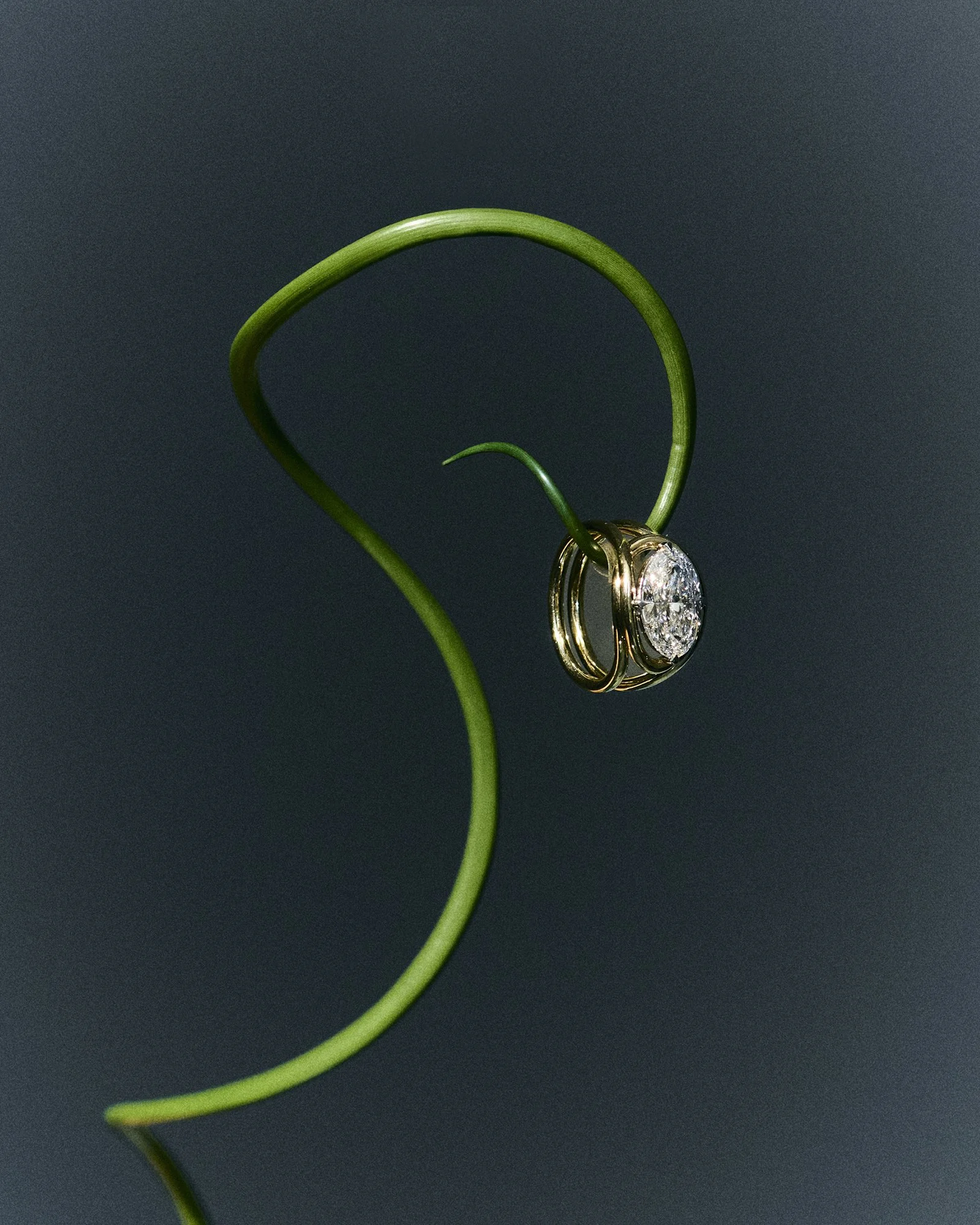 ALVA12160 copia 2.jpg