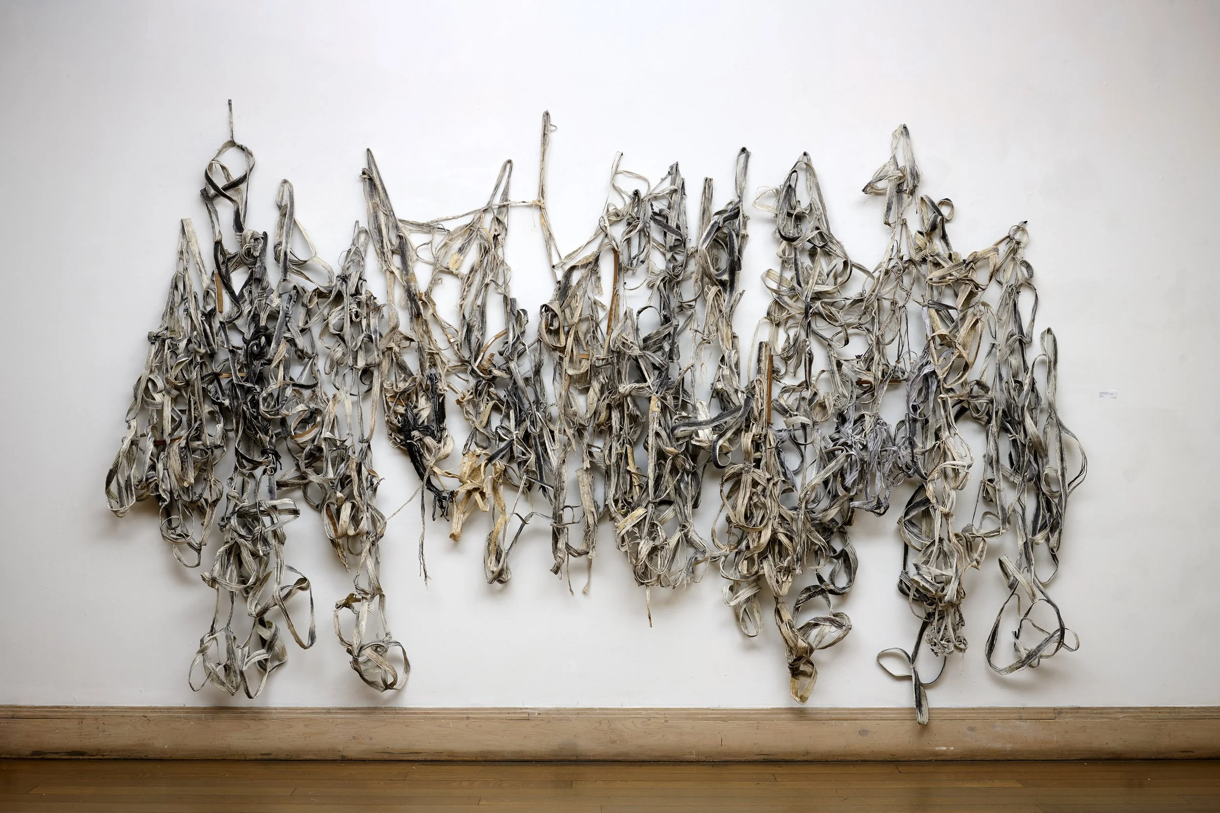   Palimpsest,  2026 string, cardboard, paint&nbsp; 96" x 180" x 12"&nbsp;&nbsp; 