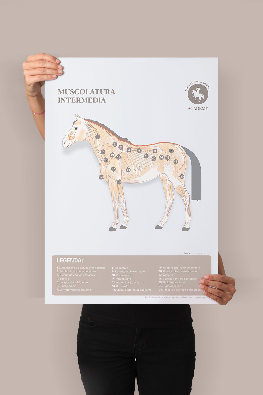 Muscolatura inter_mockup.jpg