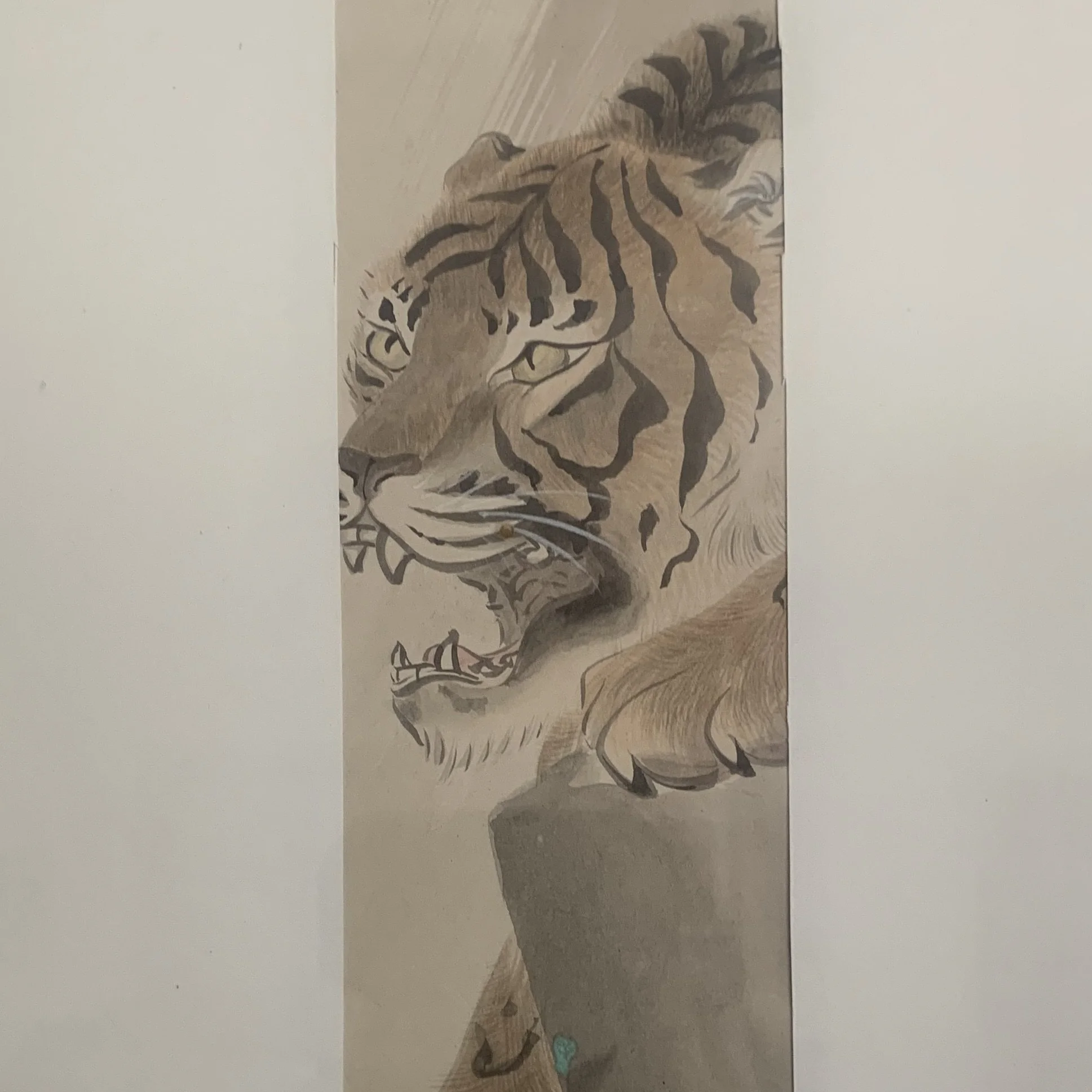 Tiger Widows and Mangrove Forests