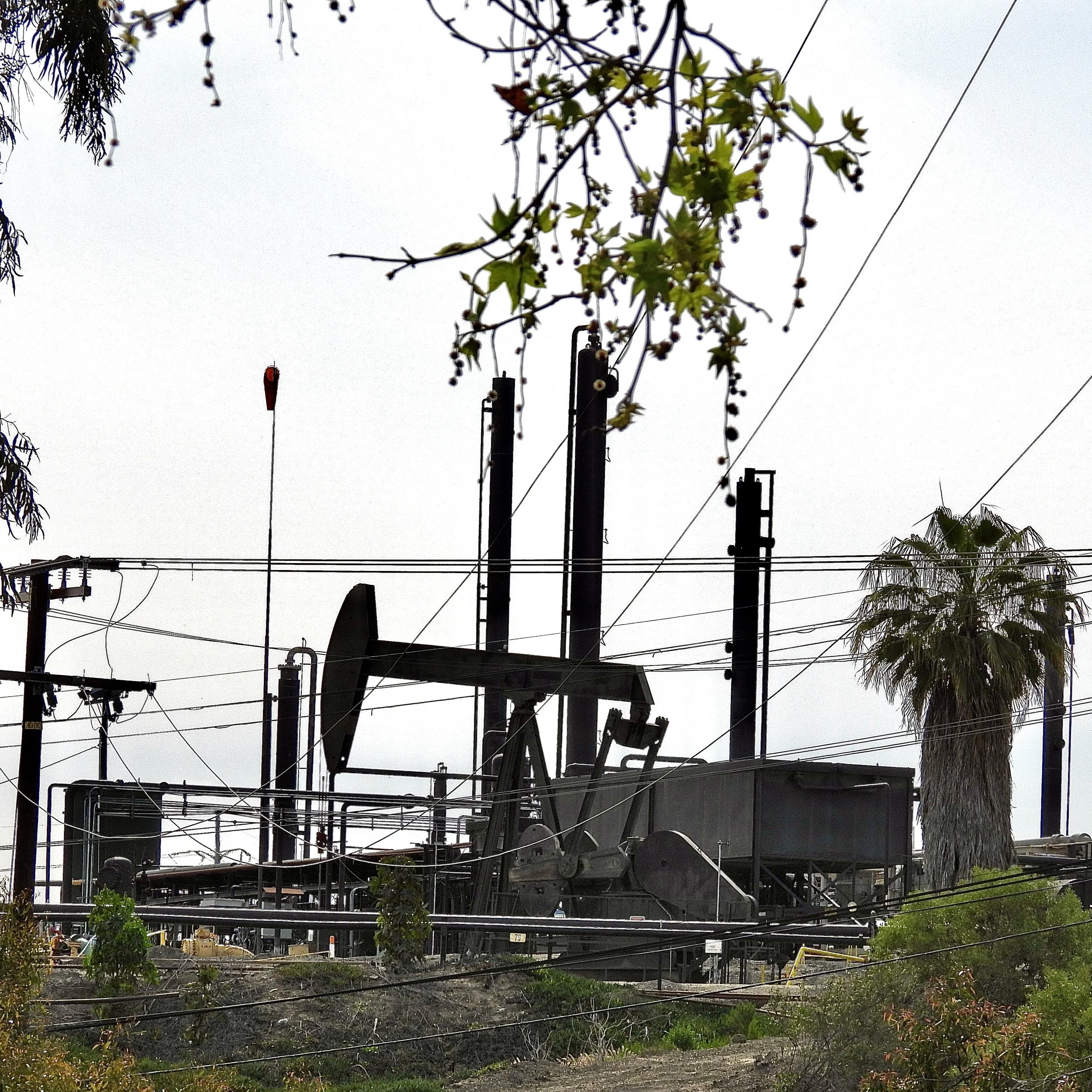 New York and Los Angeles Take Action