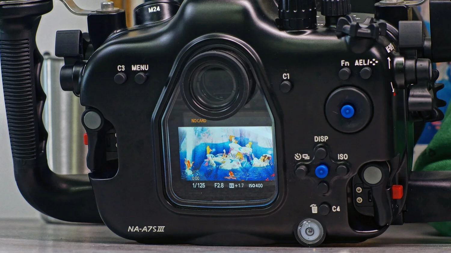 The back of a professional digital camera shows the LCD screen displaying a colorful painting of fish and water, along with camera settings such as shutter speed, aperture, and ISO.