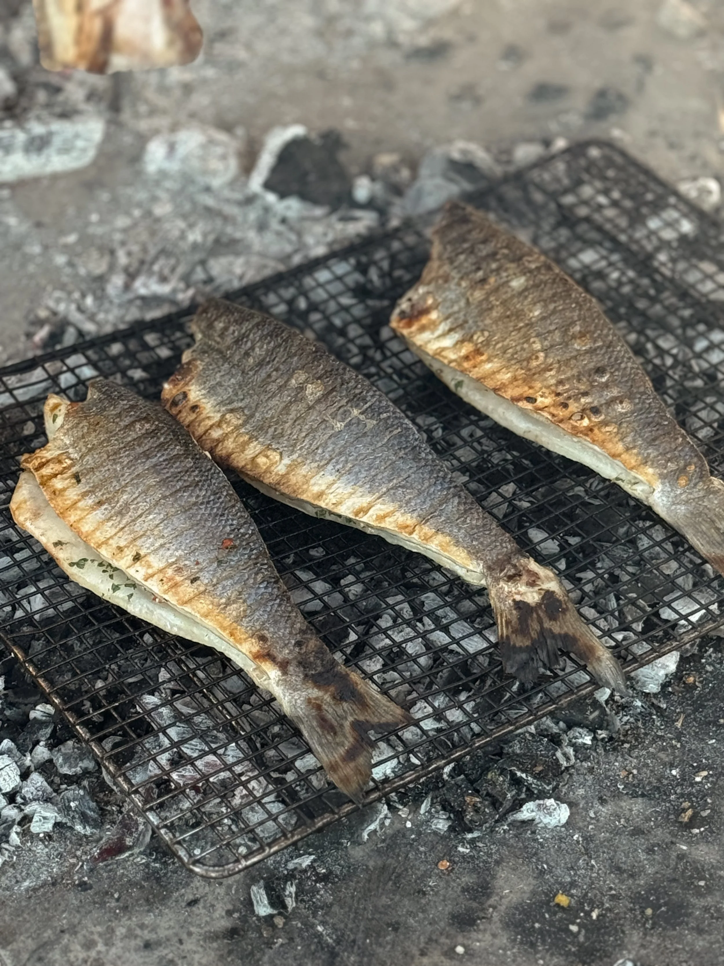 Bronzino filets finishing cooking directly over coals