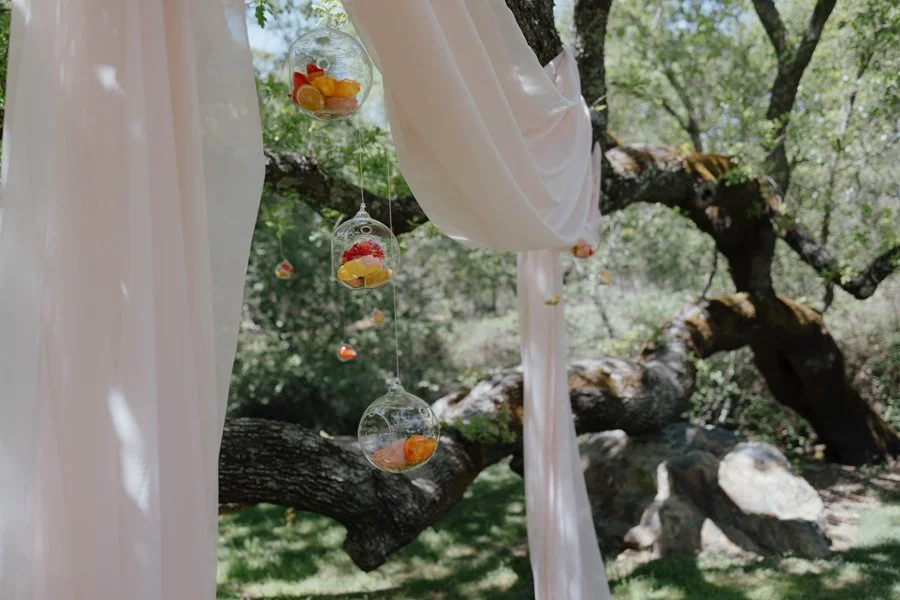 Erika-Elizabeth-Photography-Wild-Lovely-Events-Gold-Hill-Gardens-Sacramento-Weddings-Layout_0003.jpg
