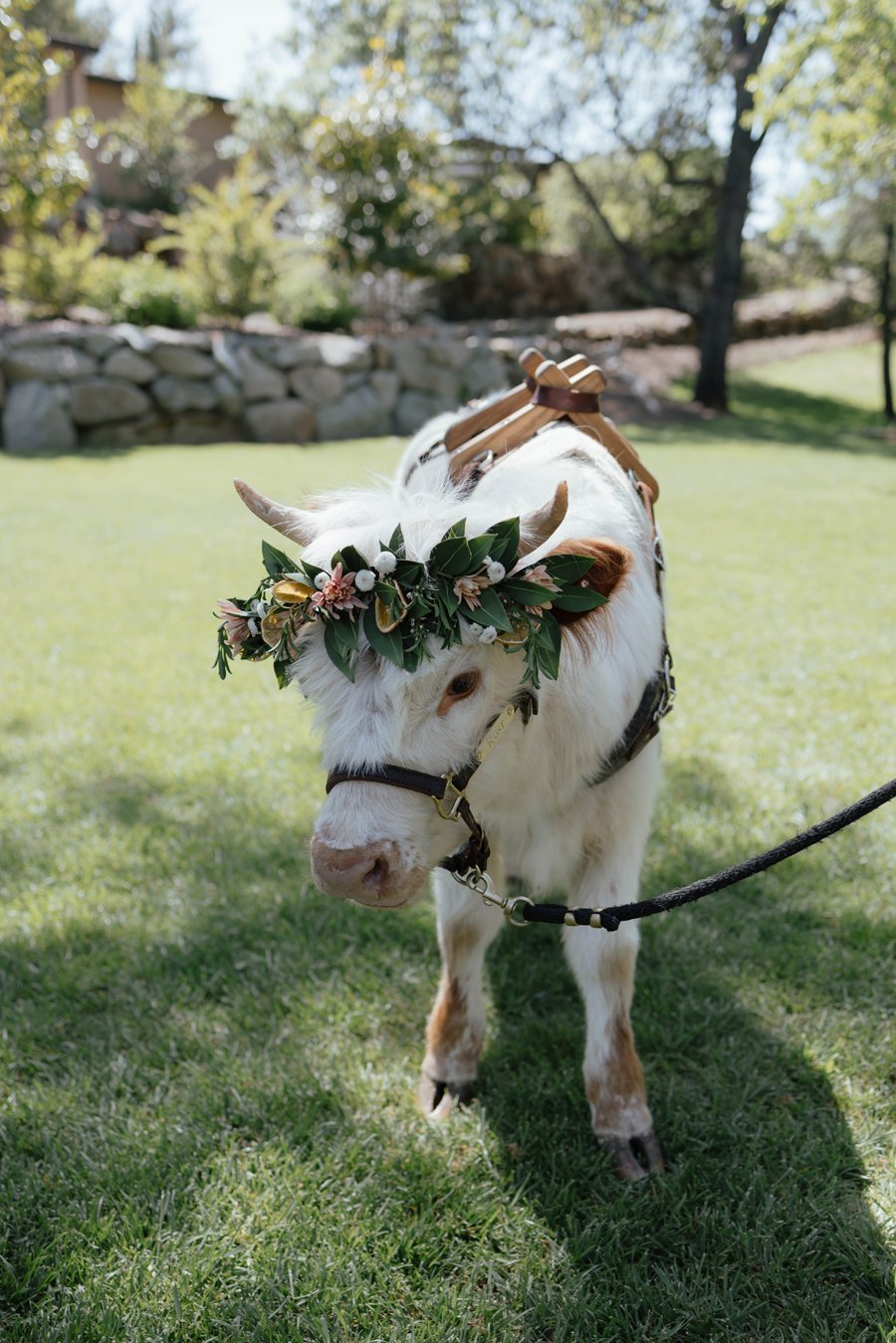 Erika-Elizabeth-Photography-Wild-Lovely-Events-Gold-Hill-Gardens-Sacramento-Weddings-Layout_0014.jpg