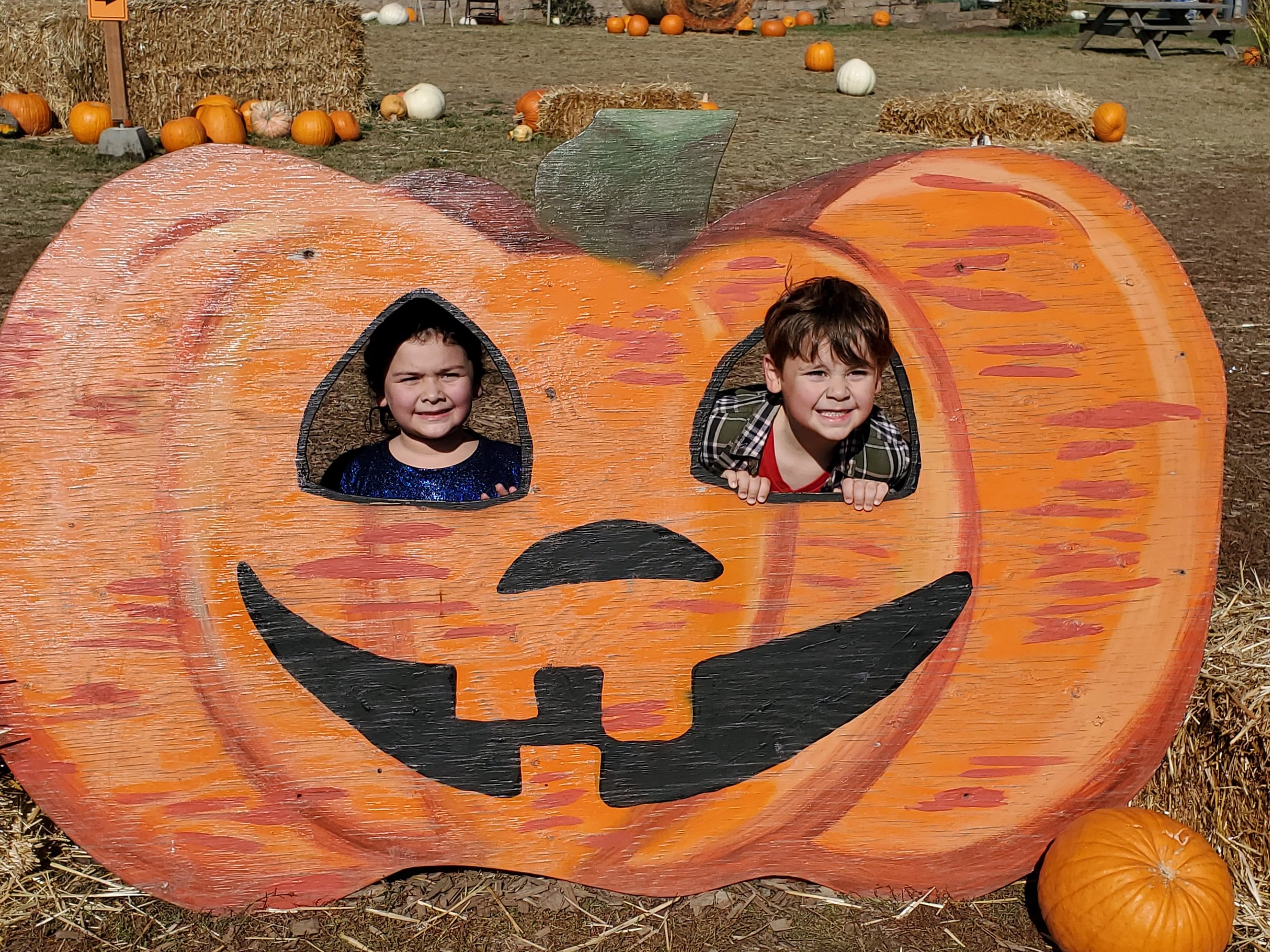 Pumpkin Spice vs. The Tastes of Summer