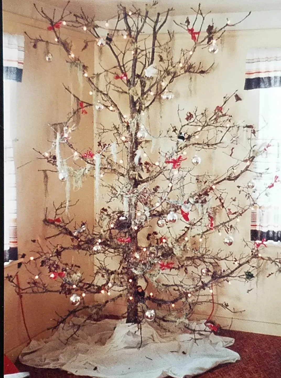 The Dead Tree of Christmas Past