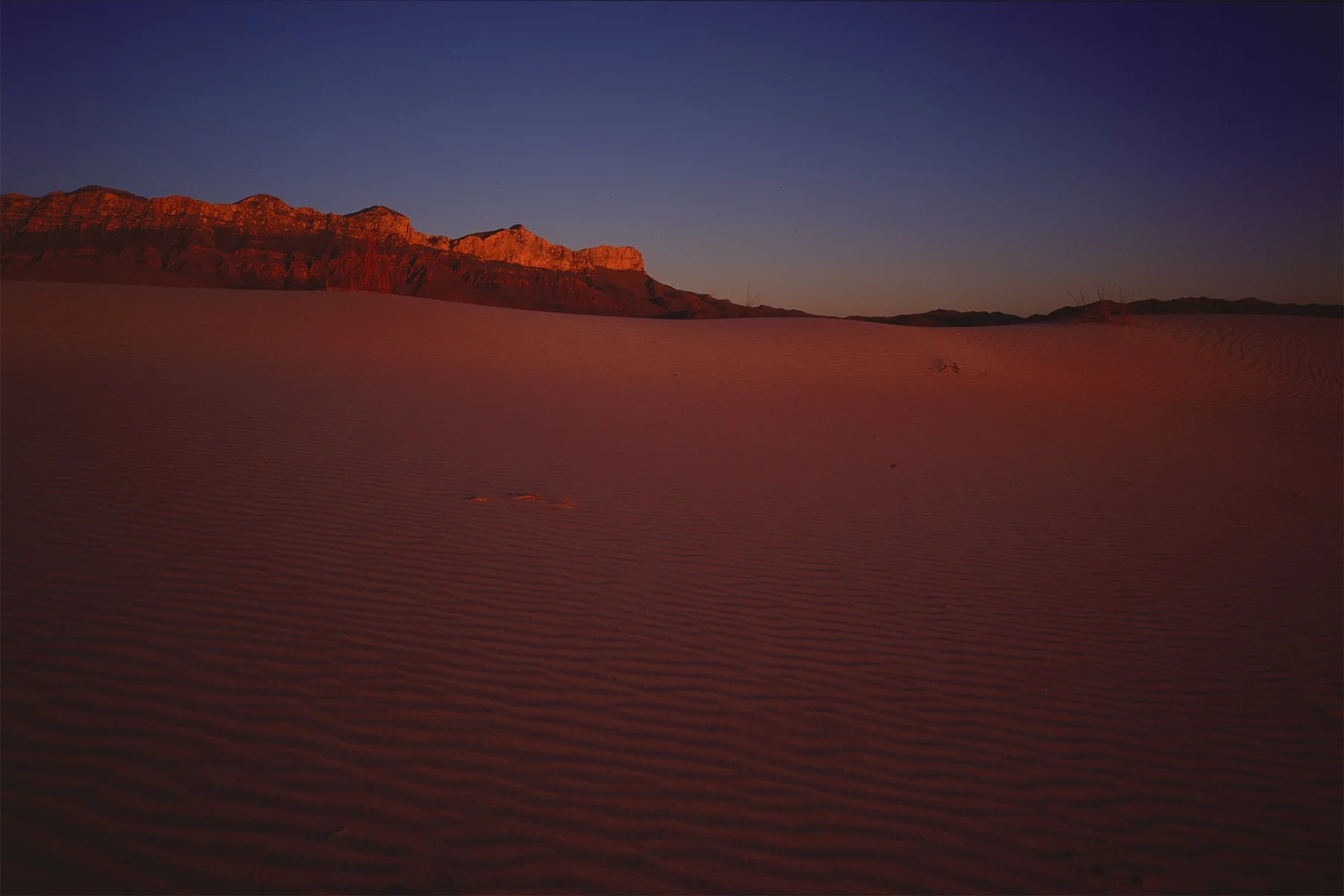 dunes1.jpg