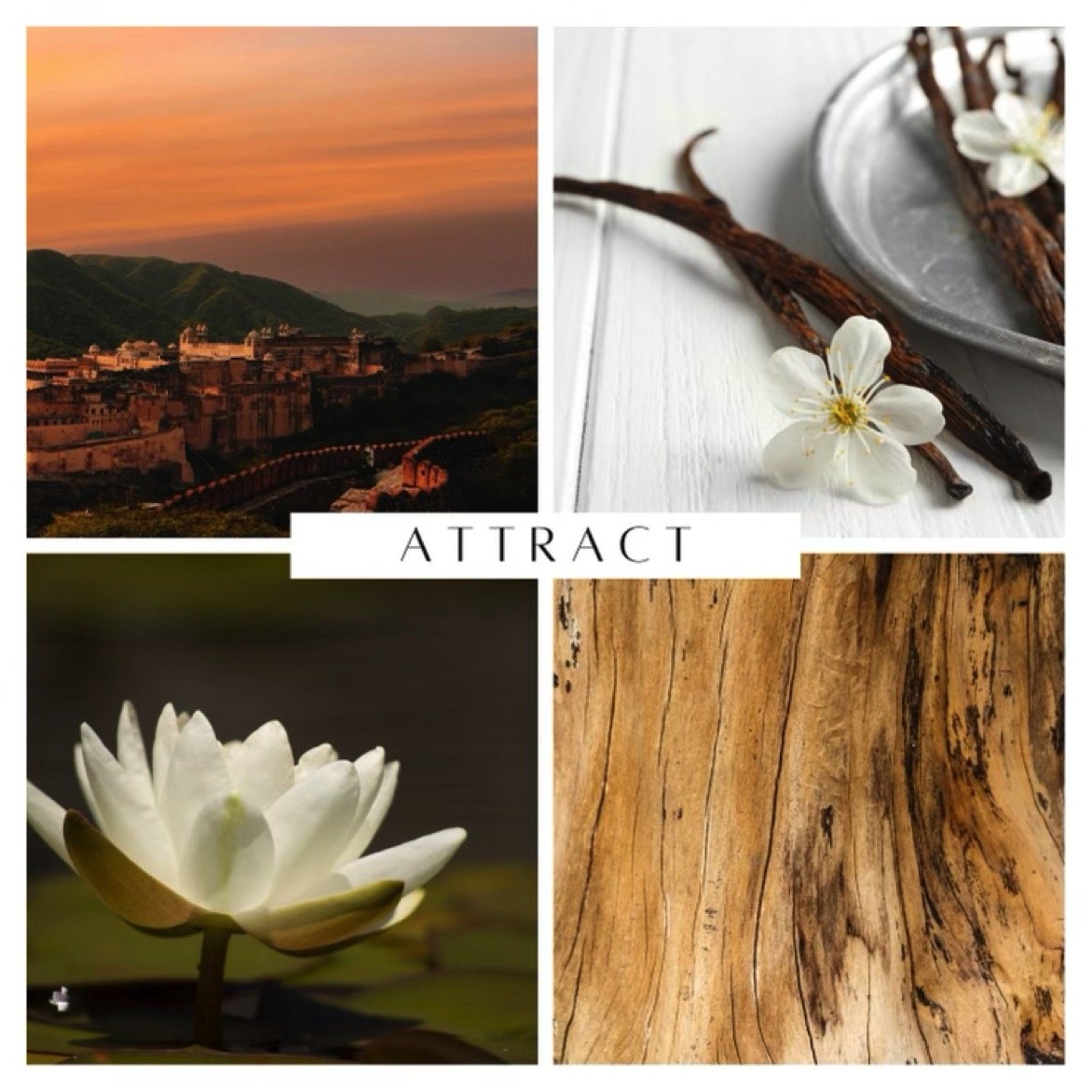 Attract Hand Poured Candles - Hoshi Lifestyle 1
