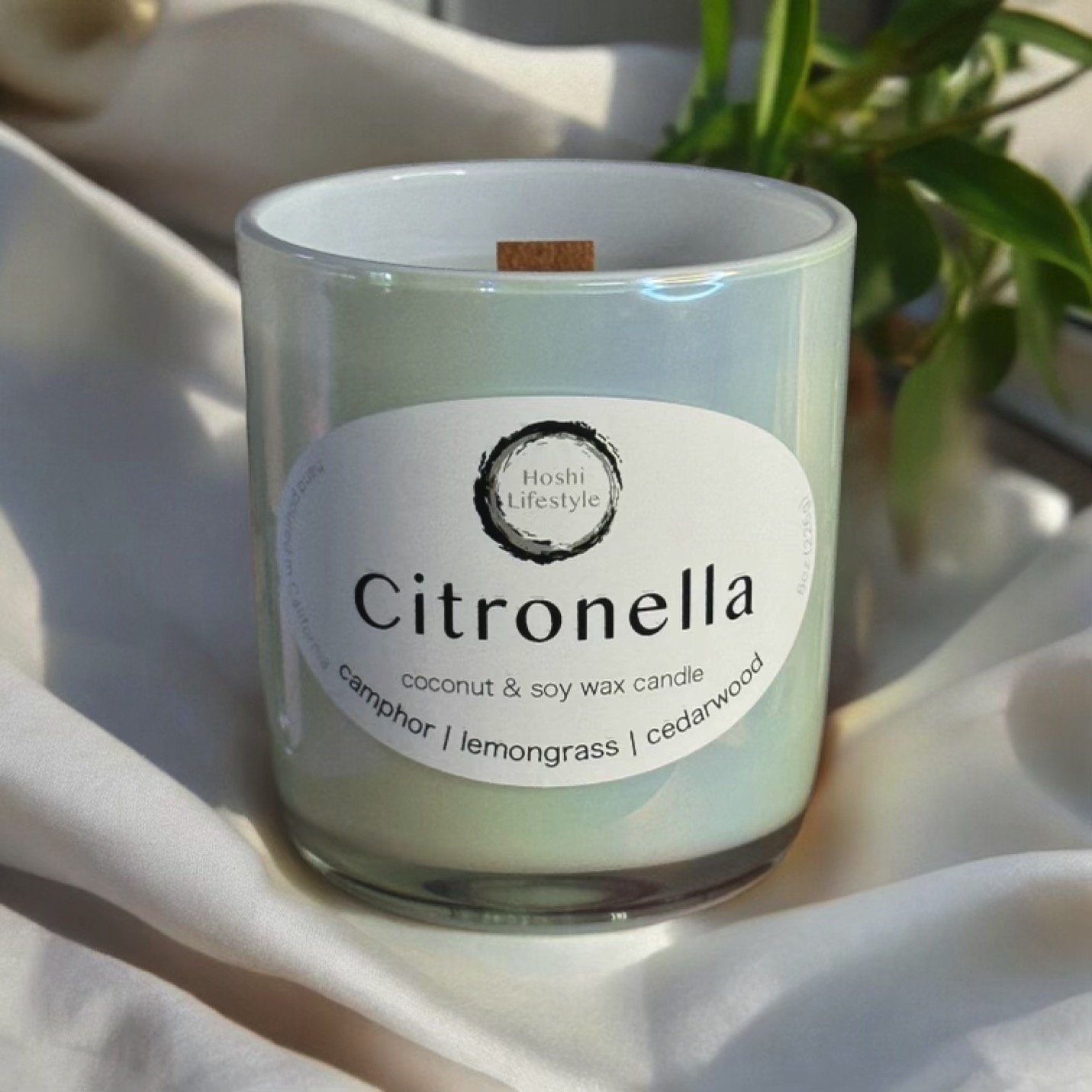 Citronella - Hoshi Lifestyle 1