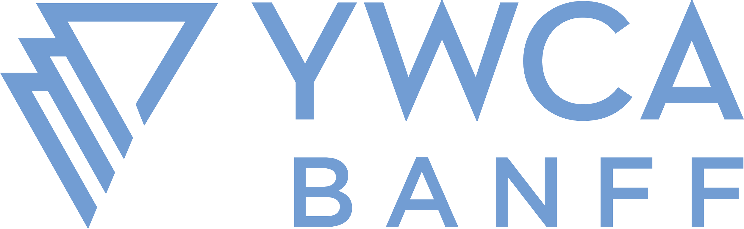 YWCA logo classic blue.png
