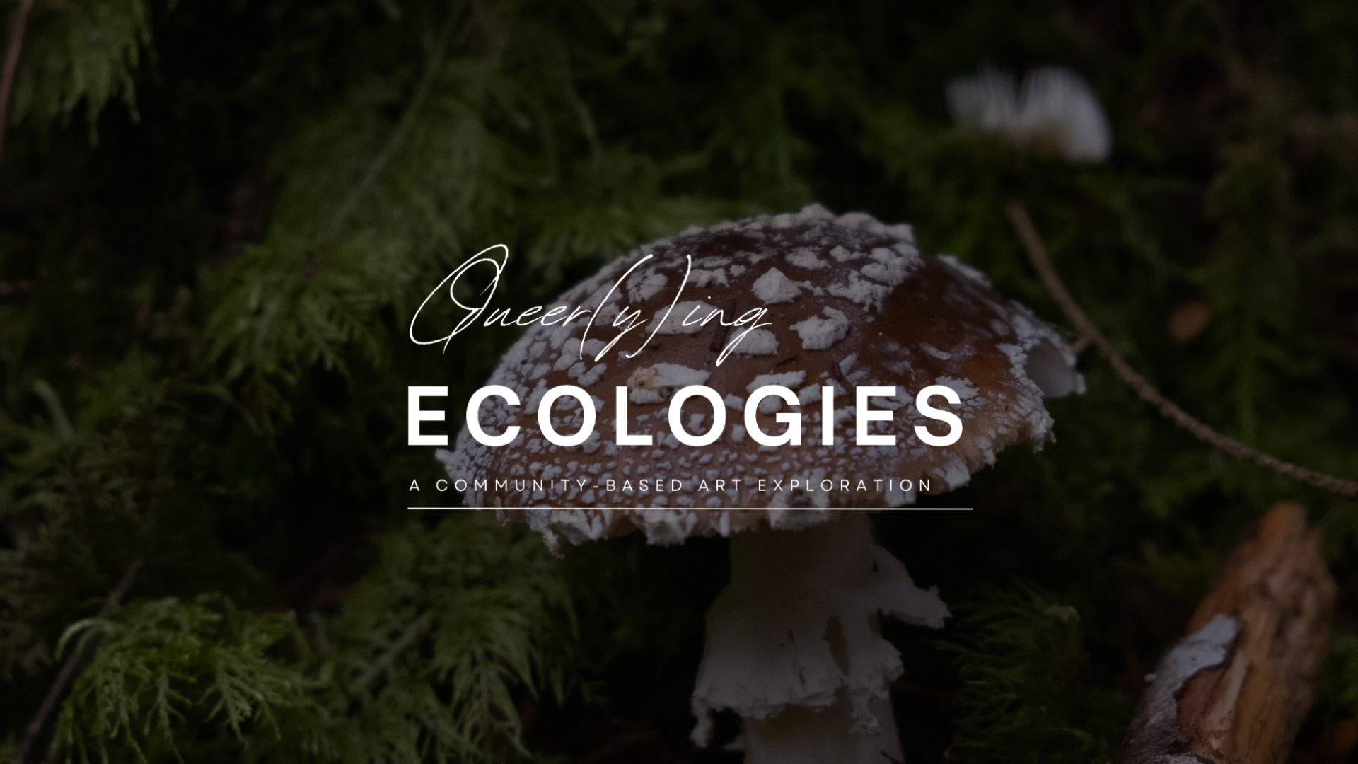 Queer(y)ing Ecologies: Fungi, Identity, and Queer Ecologies