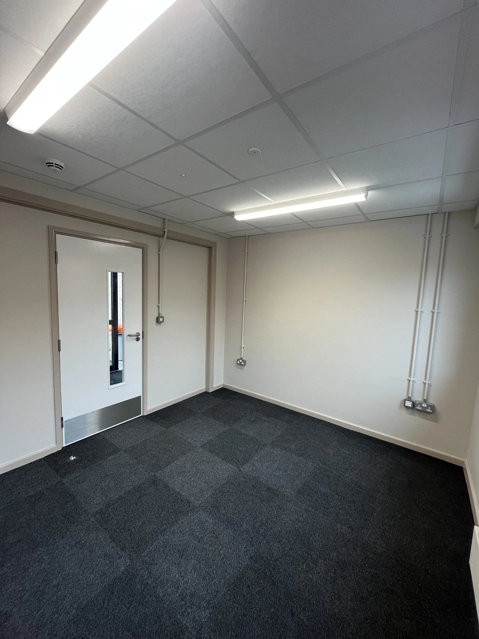 IMG_7422.JPEG