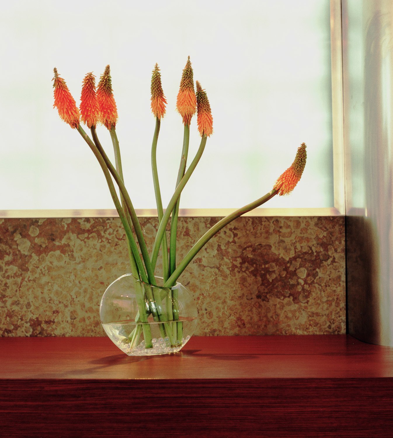 flower_closeup.jpg
