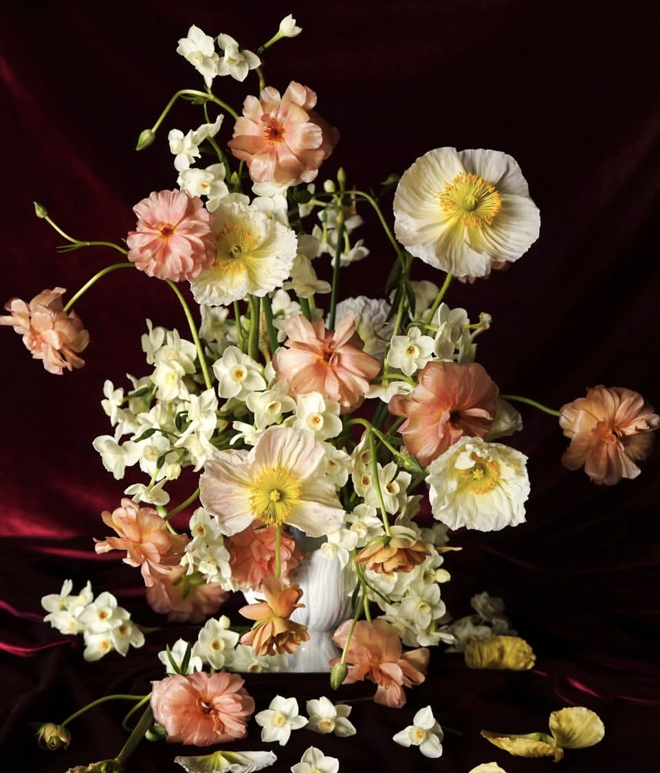 Screenshot 2026-02-18 at 4.47.47 PM.png